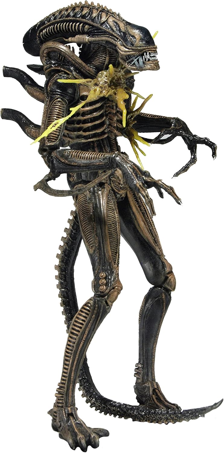 Review Discount NECA - Aliens 7 scale action figure - Series 12 Xenomorph Warrior Brown (Battle Damaged) 🔥 Crazy Deals NECA - Aliens 7 scale action figure - Series 12 Xenomorph Warrior Brown (Battle Damaged)
