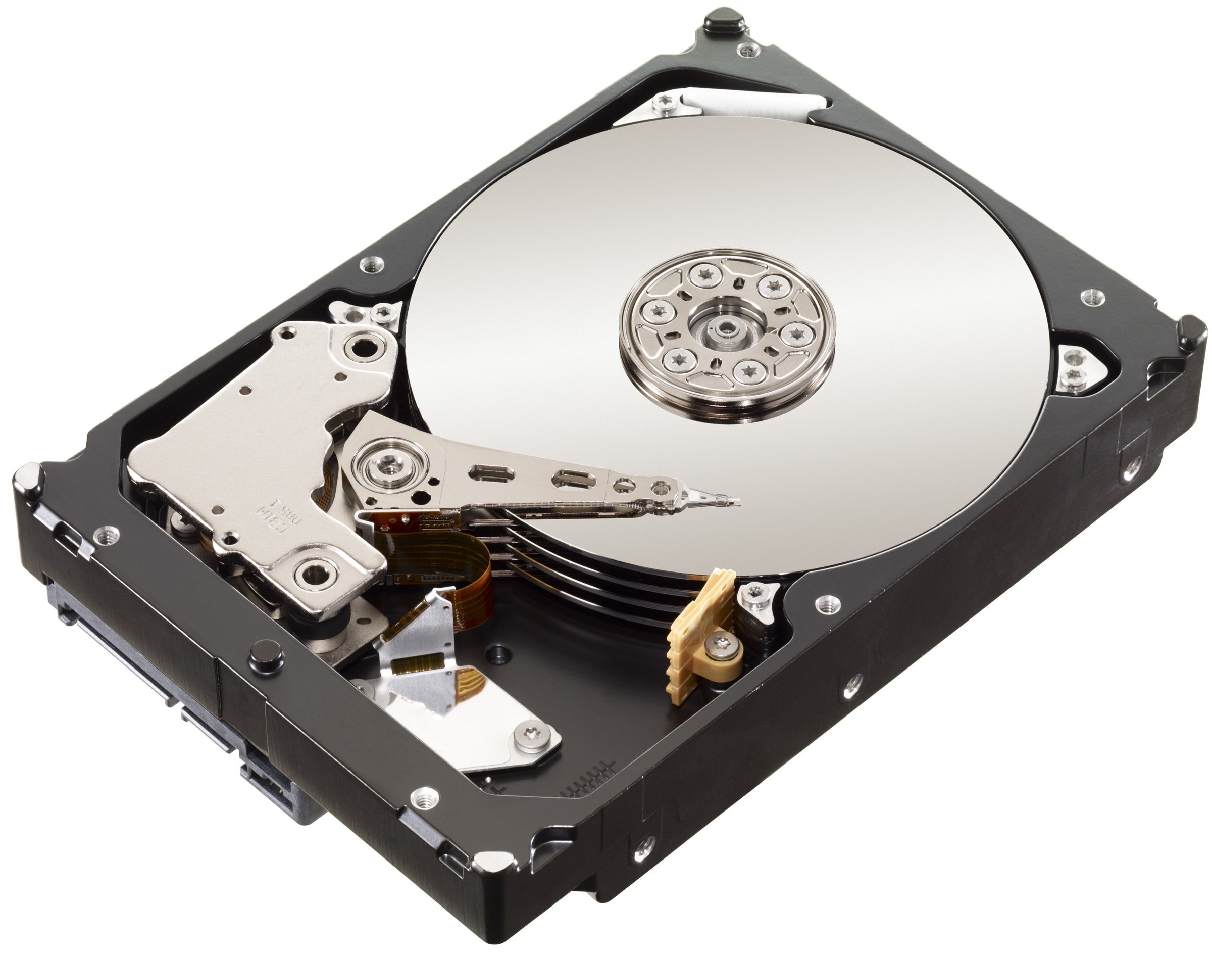 Seagate ST31000524NS Constellation ES HardDisk (Ricondizionato)