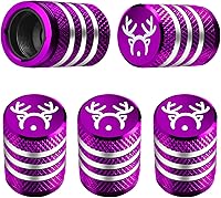 Vista 24 de Tapones para vástago de válvula de neumático, paquete de 5, tapa de aire de neumático N2, metal nitrógeno con forro de plástico, resistente a