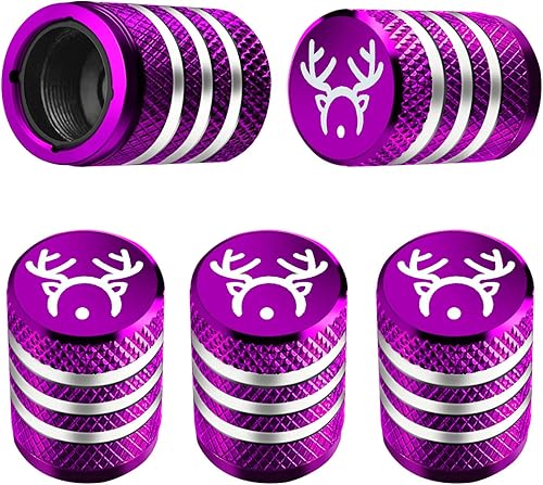 Vista 24 de Tapones para vástago de válvula de neumático, paquete de 5, tapa de aire de neumático N2, metal nitrógeno con forro de plástico, resistente a