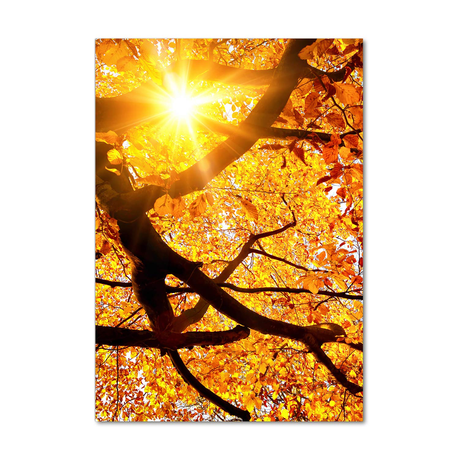 Image sur verre acrylique d'arbre automnal 70x100 pour illuminer la déco du salon