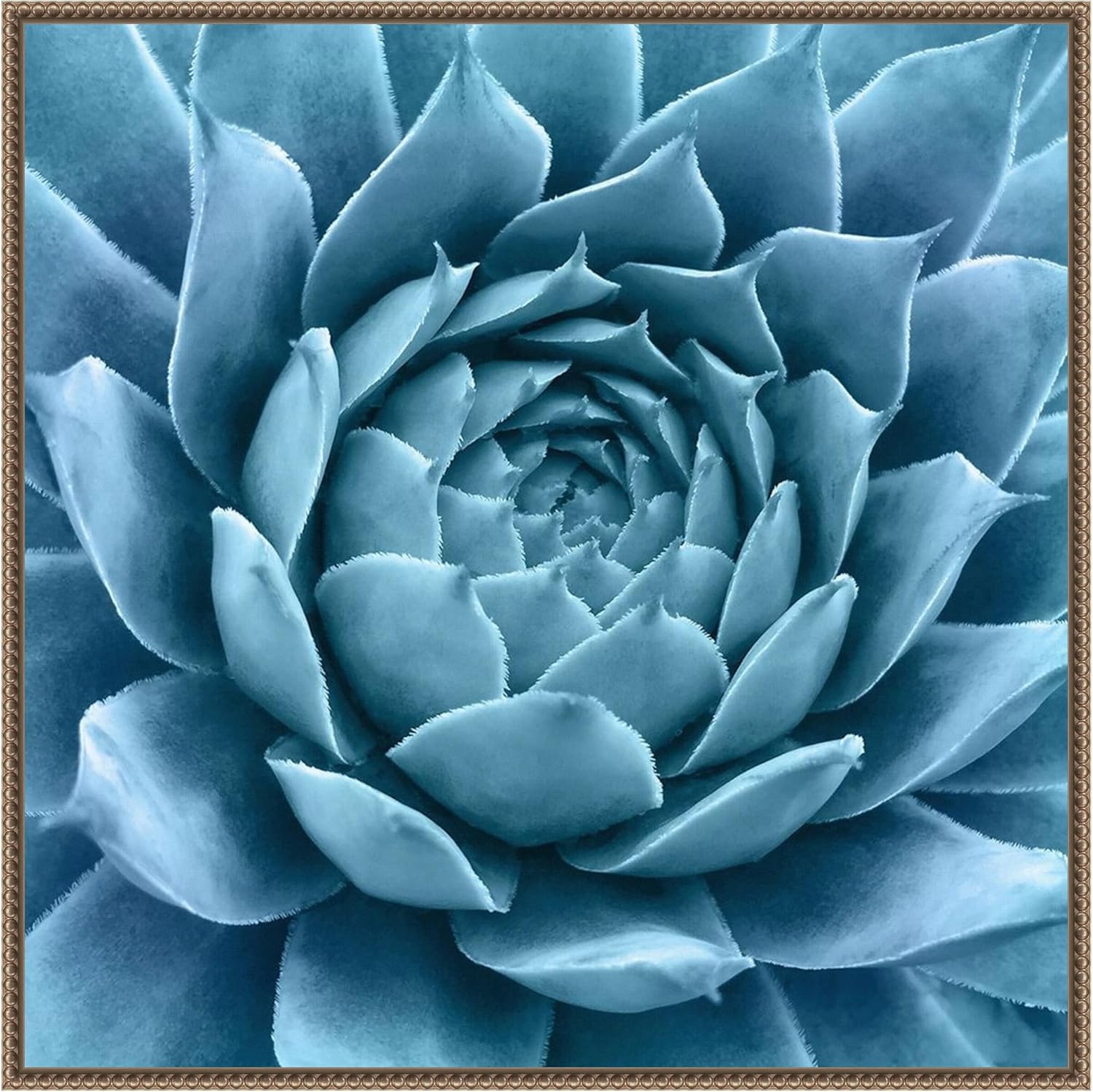 Amanti Art Framed Canvas Wall Art 30x30 Silvery Blue Agave by Jan Bell, Framed Wall Art Canvas, Abstract Artwork, Traditional Decor, Large Poster Painting for Living Room, Bedroom, Bathroom, Kitchen,