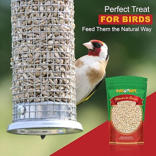 Miniatura 7 de We Got Nuts - Semillas de girasol crudas - Semillas de girasol sin cáscara Kosher de alta calidad - Aperitivo natural y saludable para fitness y