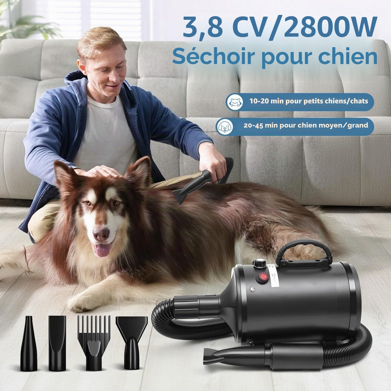Souffleur pour chien, sèche-cheveux pour chiens 2800W, Phon Chiens | vitesse et température réglables, moins de bruit, toilettage, animaux avec 4 buses pour usage privé et professionnel (Noir)