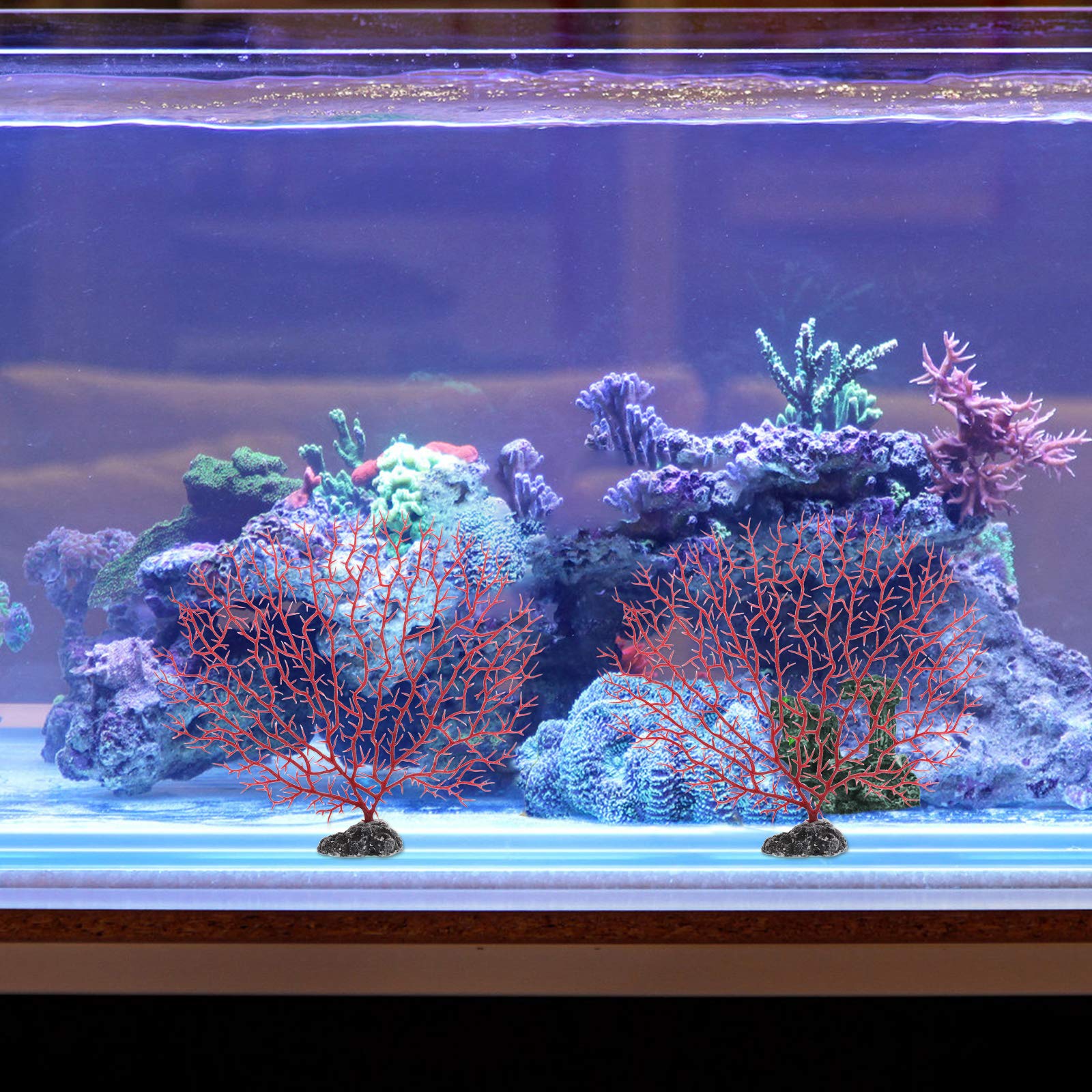 Knstliche Korallen Dekoration Fr Aquarien - Meeresfcher Zweig,  Realistisch & Fischfreundlich