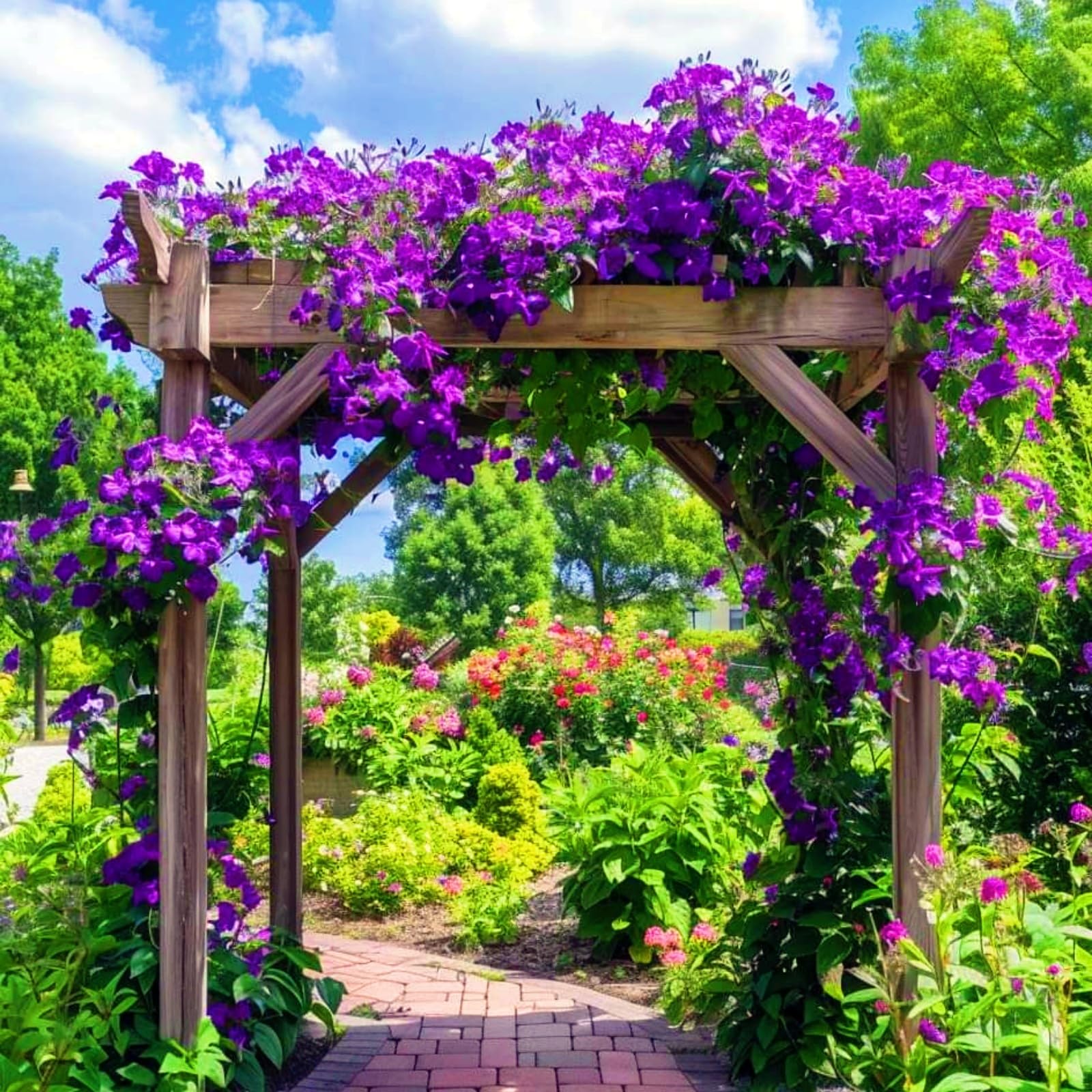 Hervorragende MehrjäHrige Clematis, Clematiszwiebeln In GroßPackungen, Fachgerecht Gepflanzt, GartenverschöNerung, Pflegeleicht-15 Rhizom-G