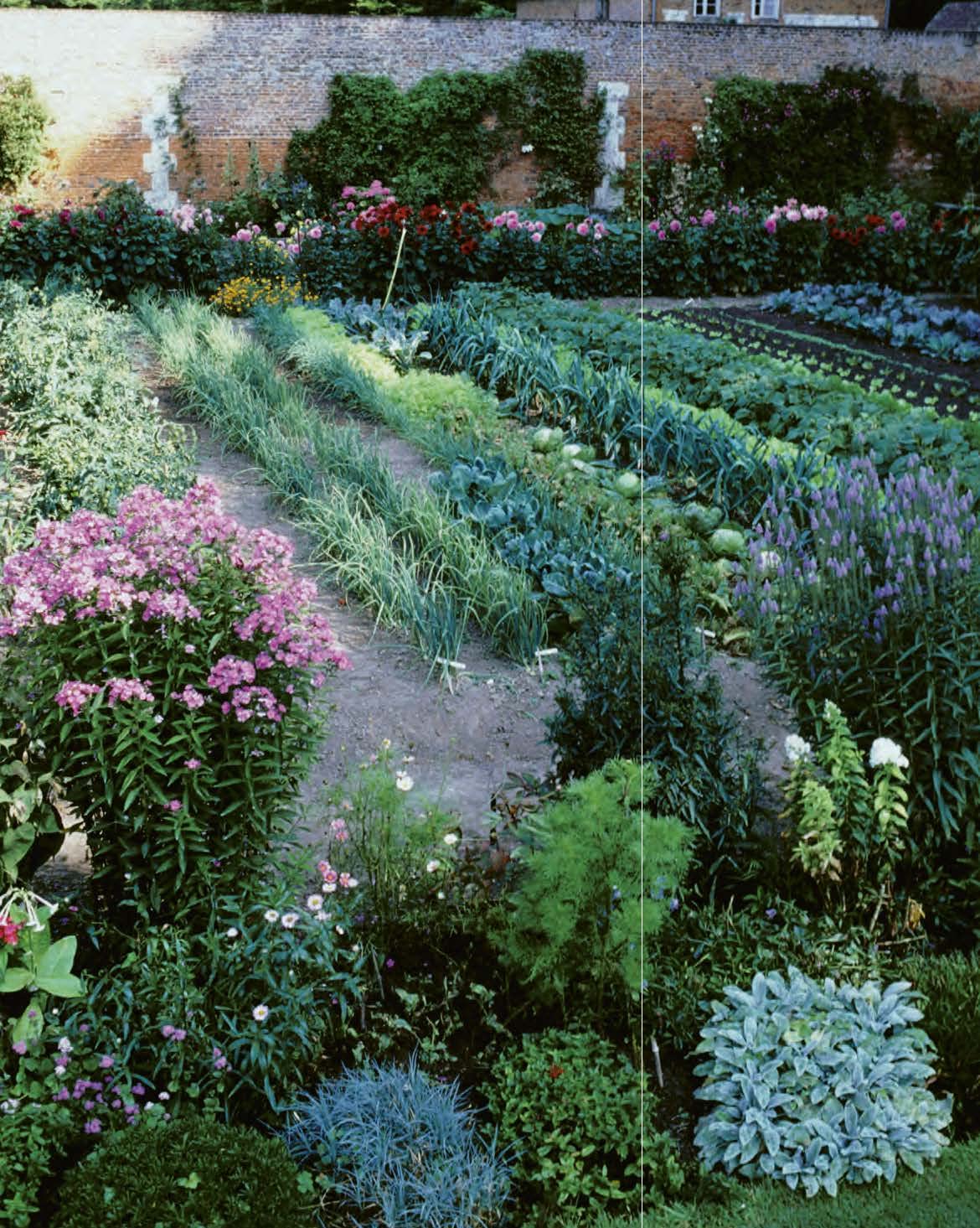 Le traité Rustica du potager bio