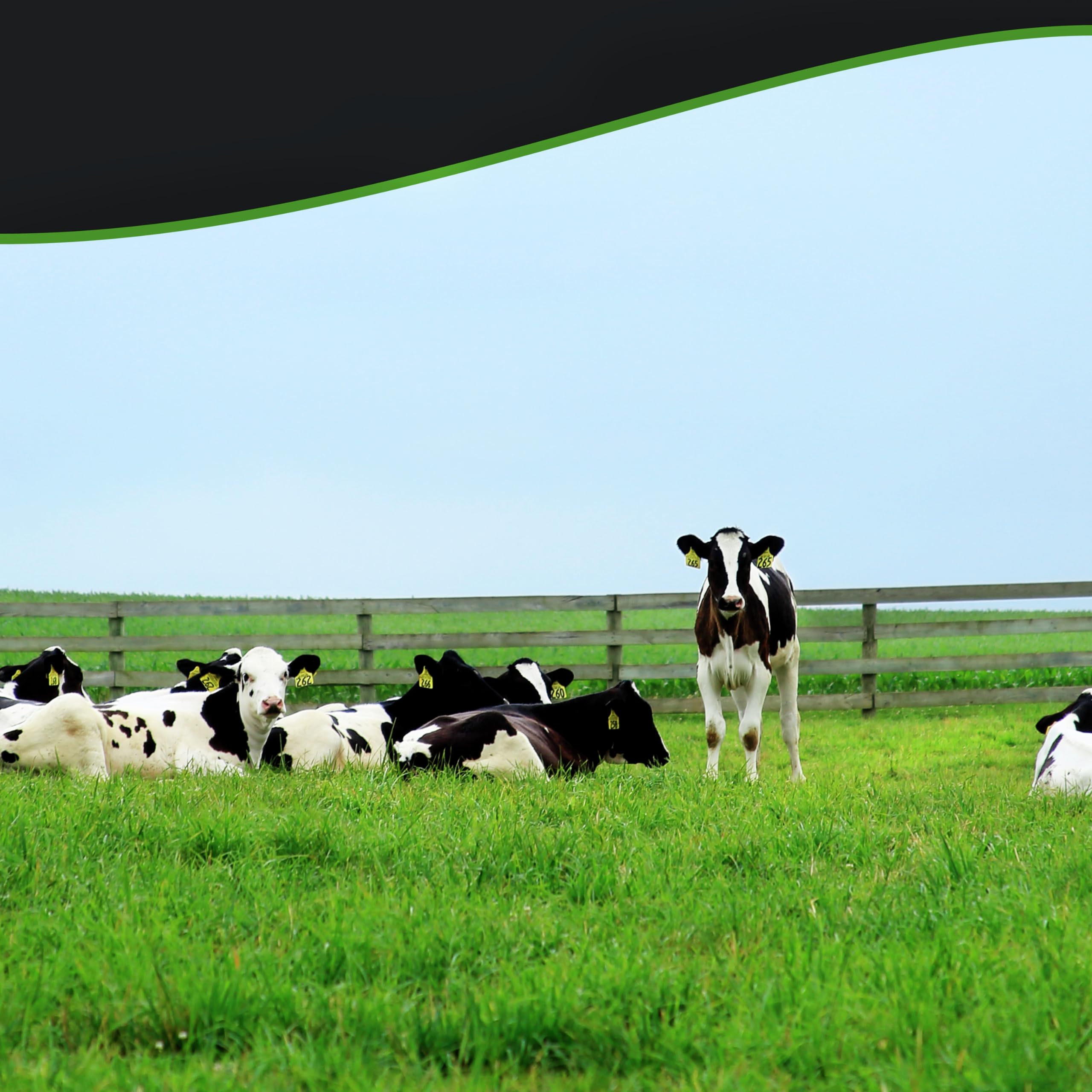 Breyers Ice Cream For a Frozen Dessert On-The-Go Natural Vanilla Snack Cups Made with 100 Grade A Milk — view 8