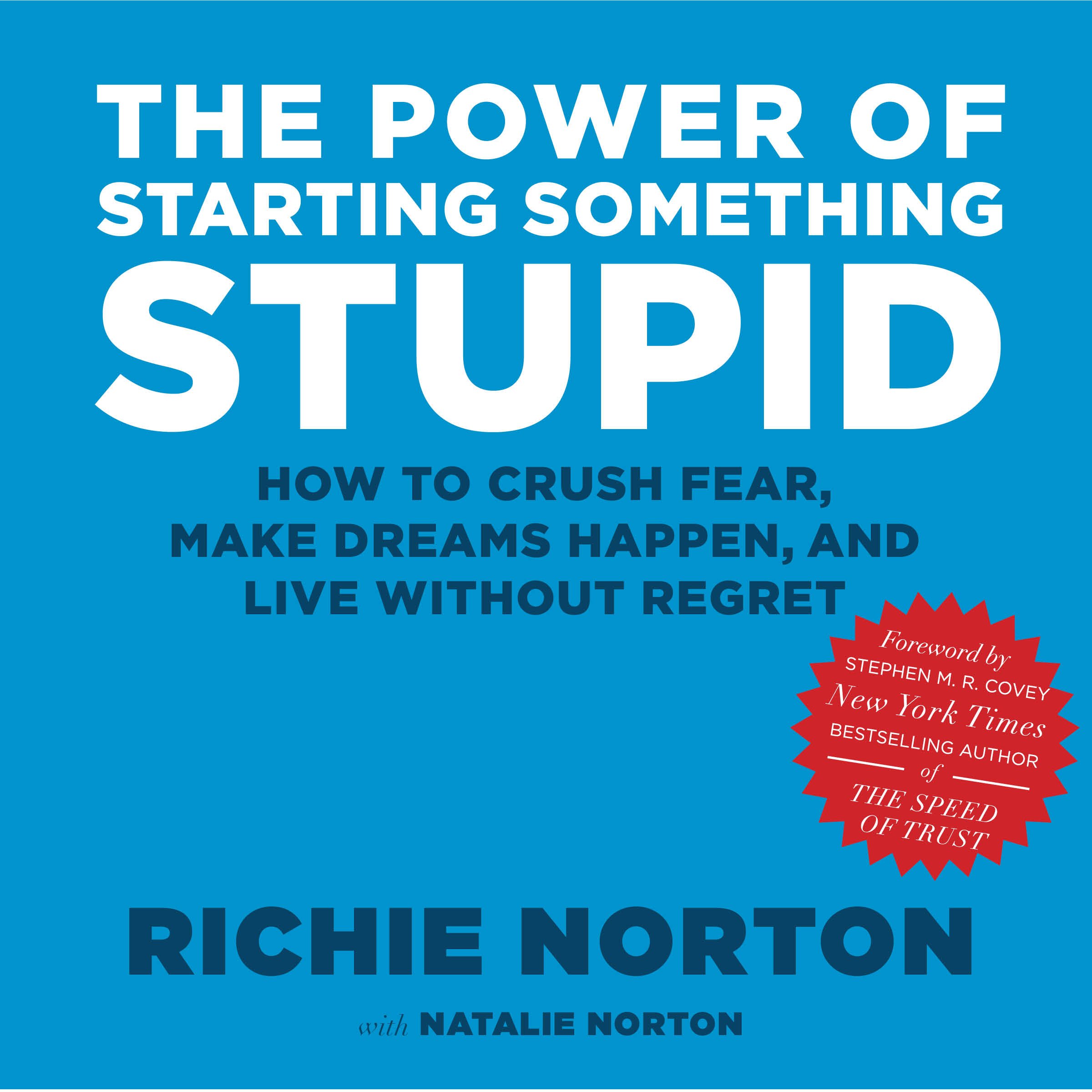 Cover art for The Power of Starting Something Stupid