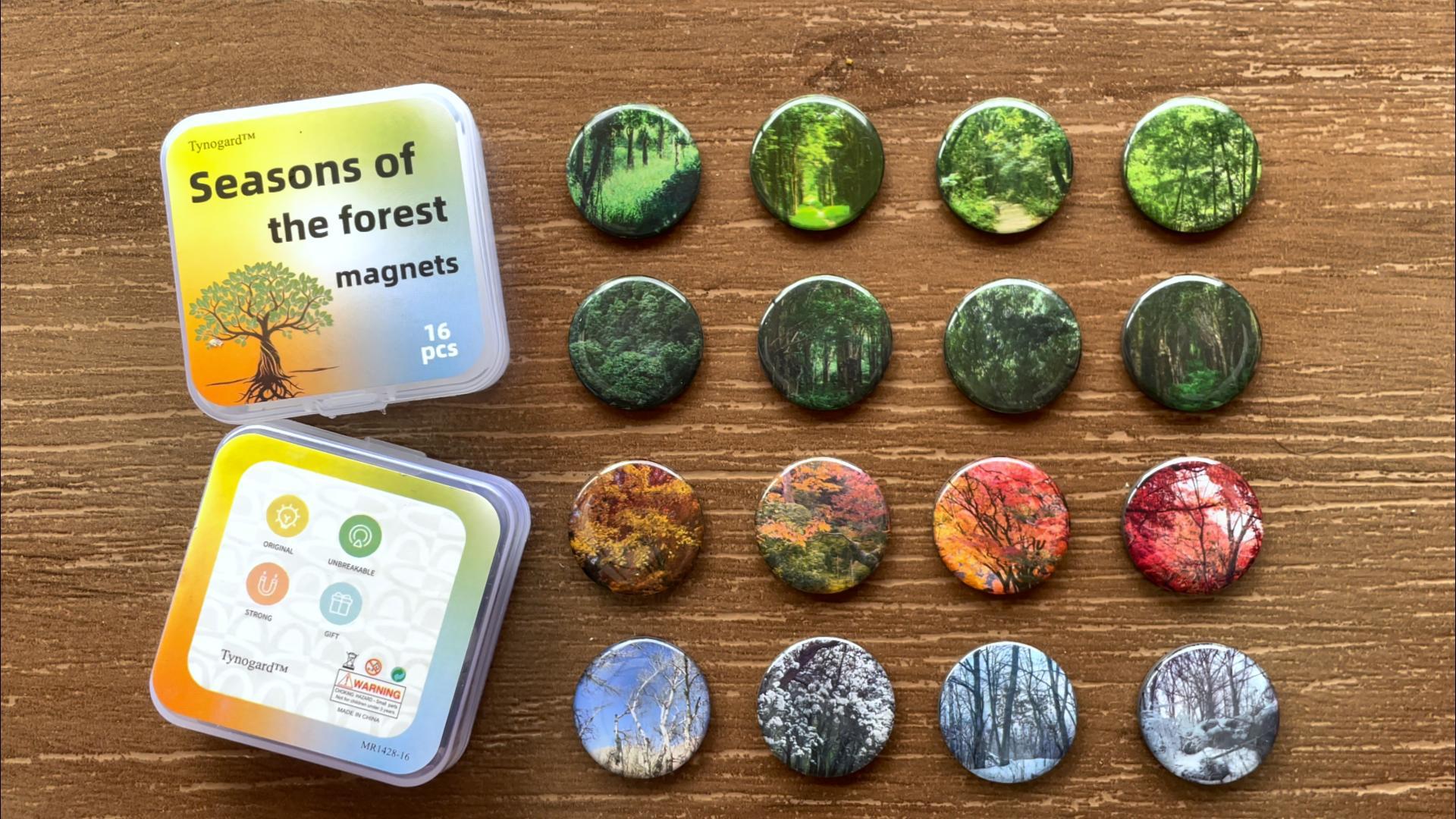 16 Imanes Decorativos de Resina para Refrigerador miniatura 7