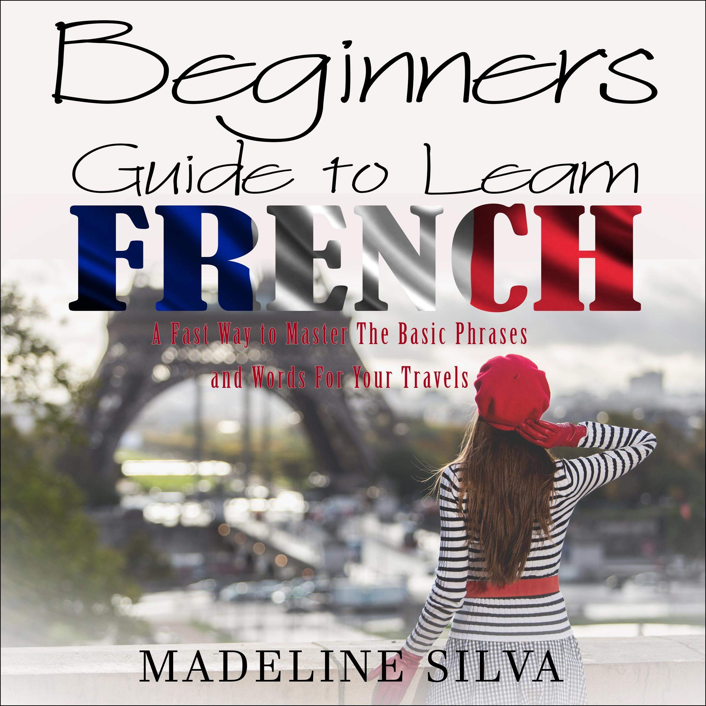Cover art for Beginners Guide to Learn French