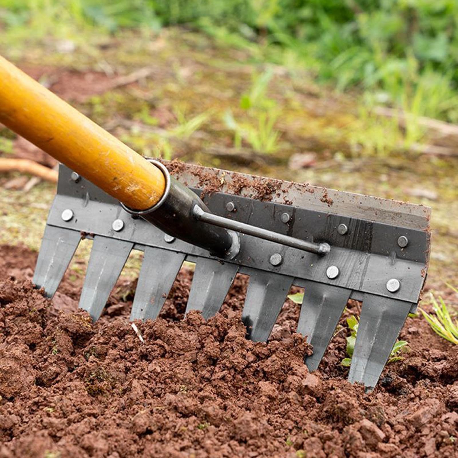 Outils de Désherbage de Jardinage Accessoires de Jardin Métalliques