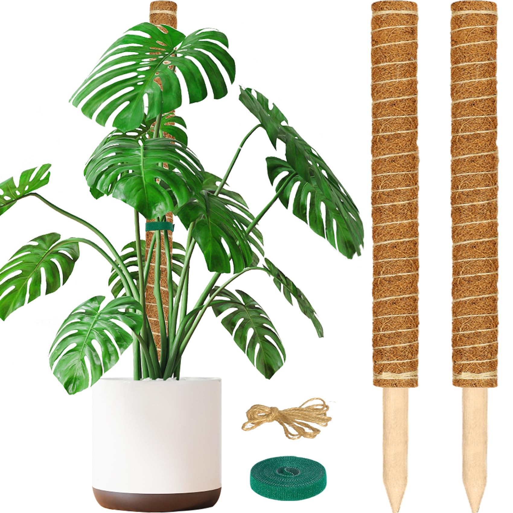 ALENEY Moss Pole, 2 Pack 23.6inch Stackable Moss Poles for Plants Monstera Plant Support, Coir Totem Pole Tall Moss Pole for Climbing Plants, Sphagnum, Indoor Potted Plants - Can Stacked Up to 40’’