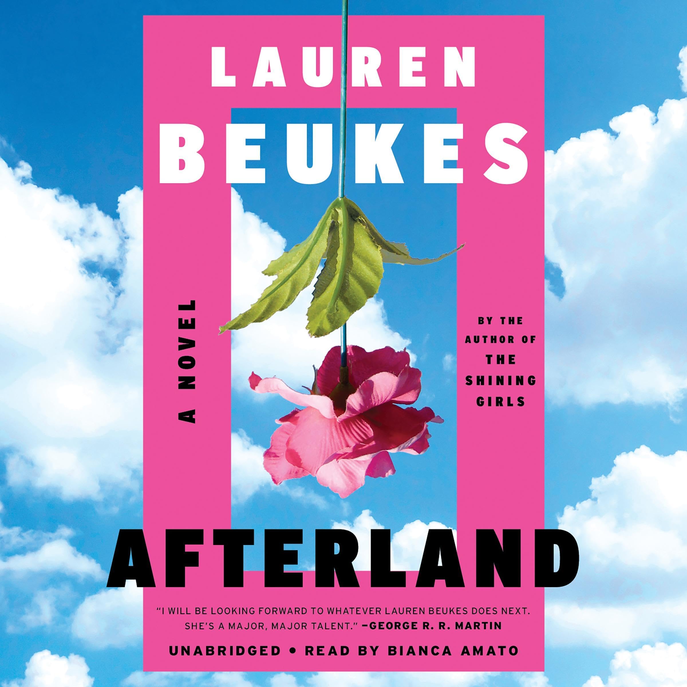 Cover art for Afterland