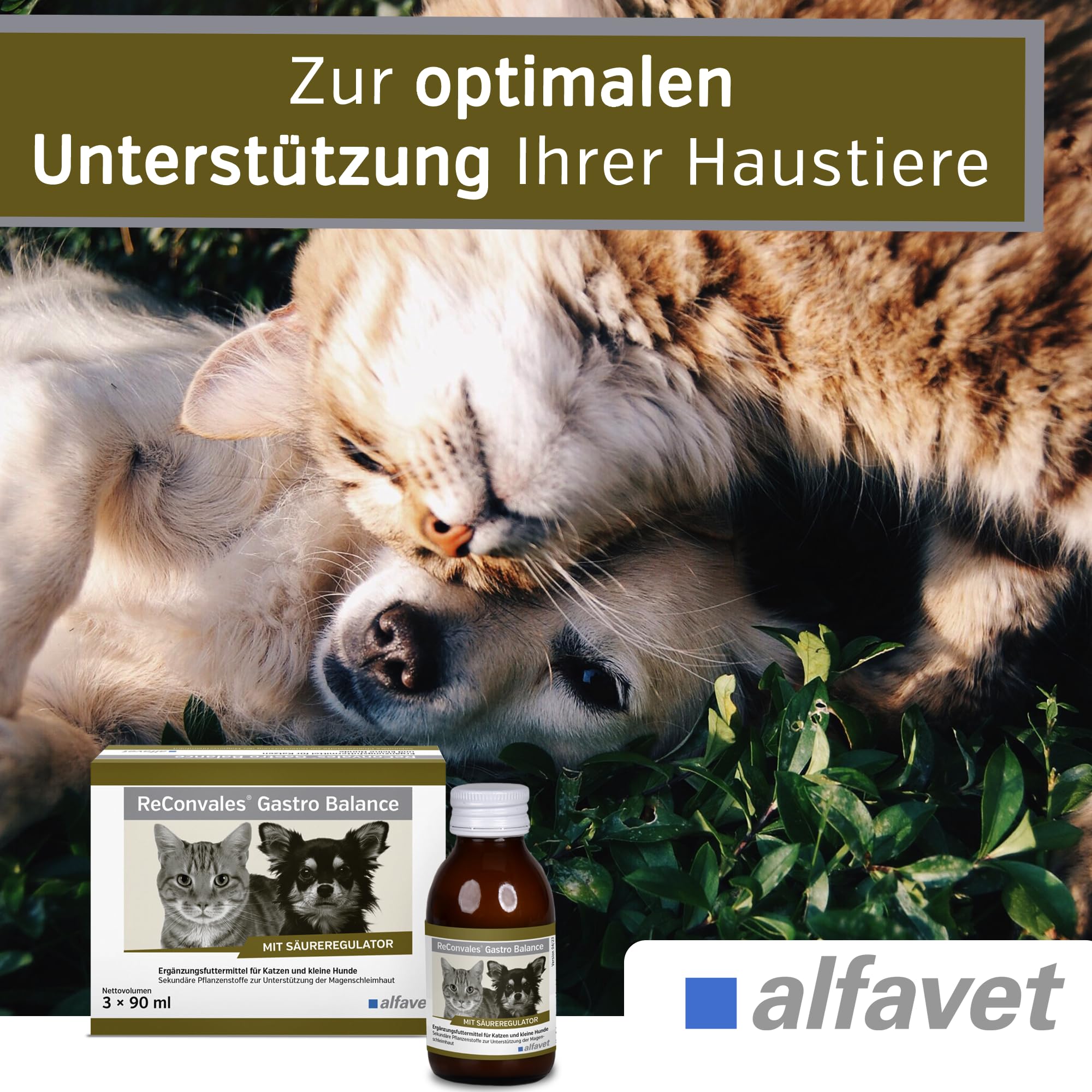 Alfavet, ReConvales Gastro Balance dla kota i psa, do pielęgnacji błony śluzowej żołądka z regulatorem kwasowości, pasza uzupełniająca, 3 x 90 ml