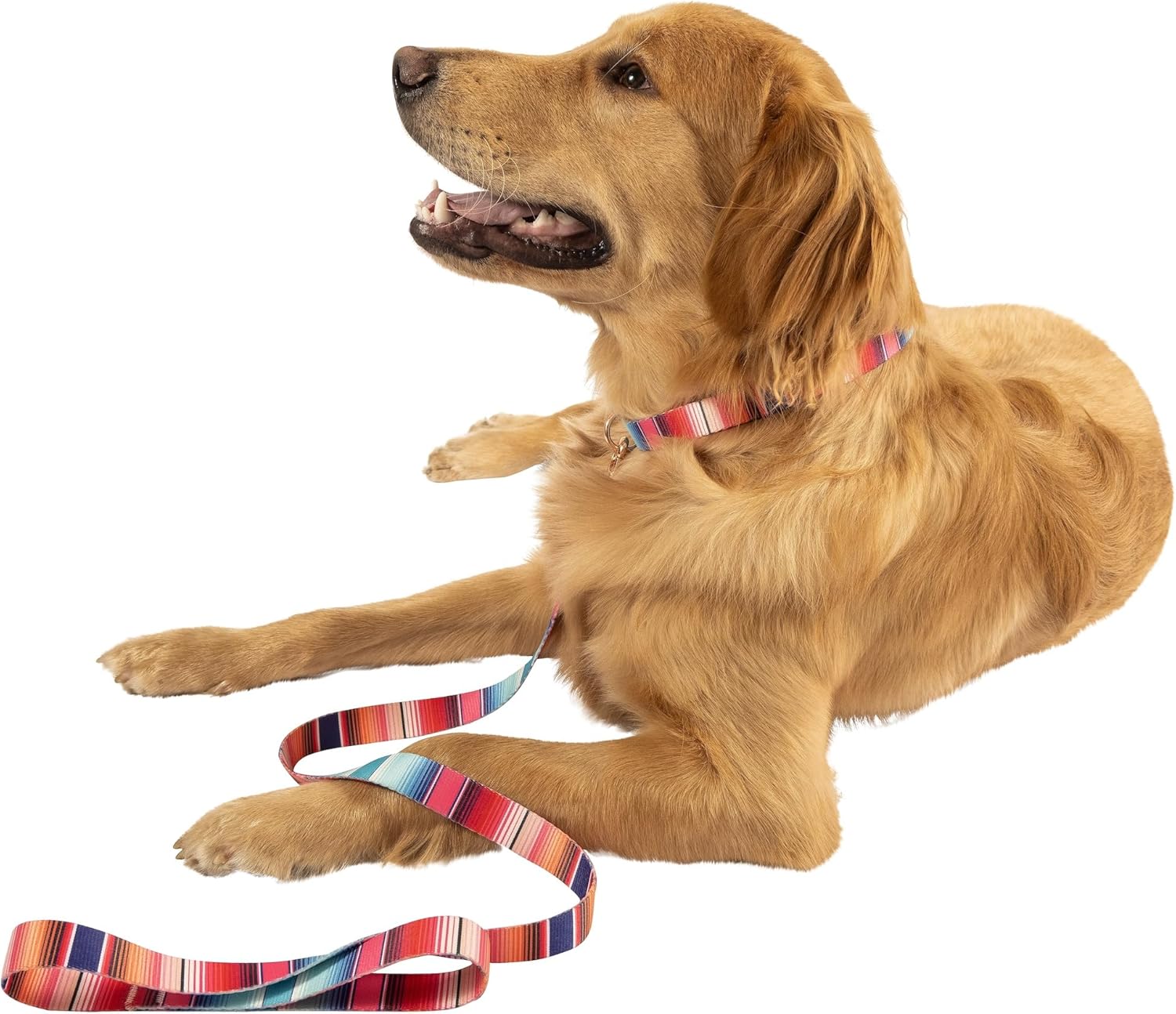 Serape 首輪 &amp; リードセット マルチ M