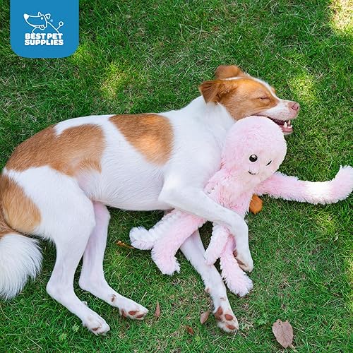 Vista 141 de Best Pet Supplies - Juguetes para cachorros y perros adultos, crujen y hacen chirridos, pollo (azul)