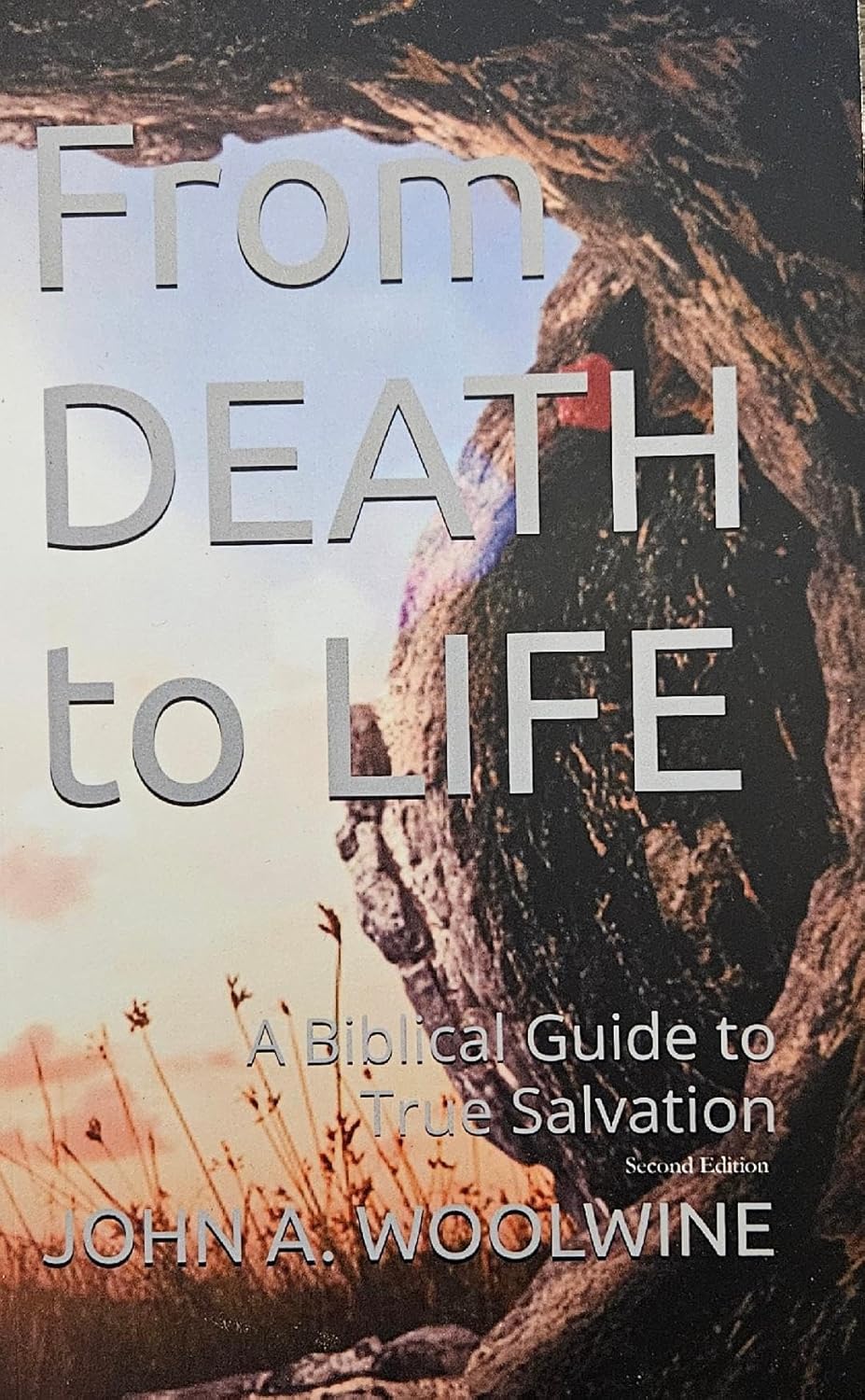 From Death to Life: A Biblical Guide to True Salvation      Kindle Edition