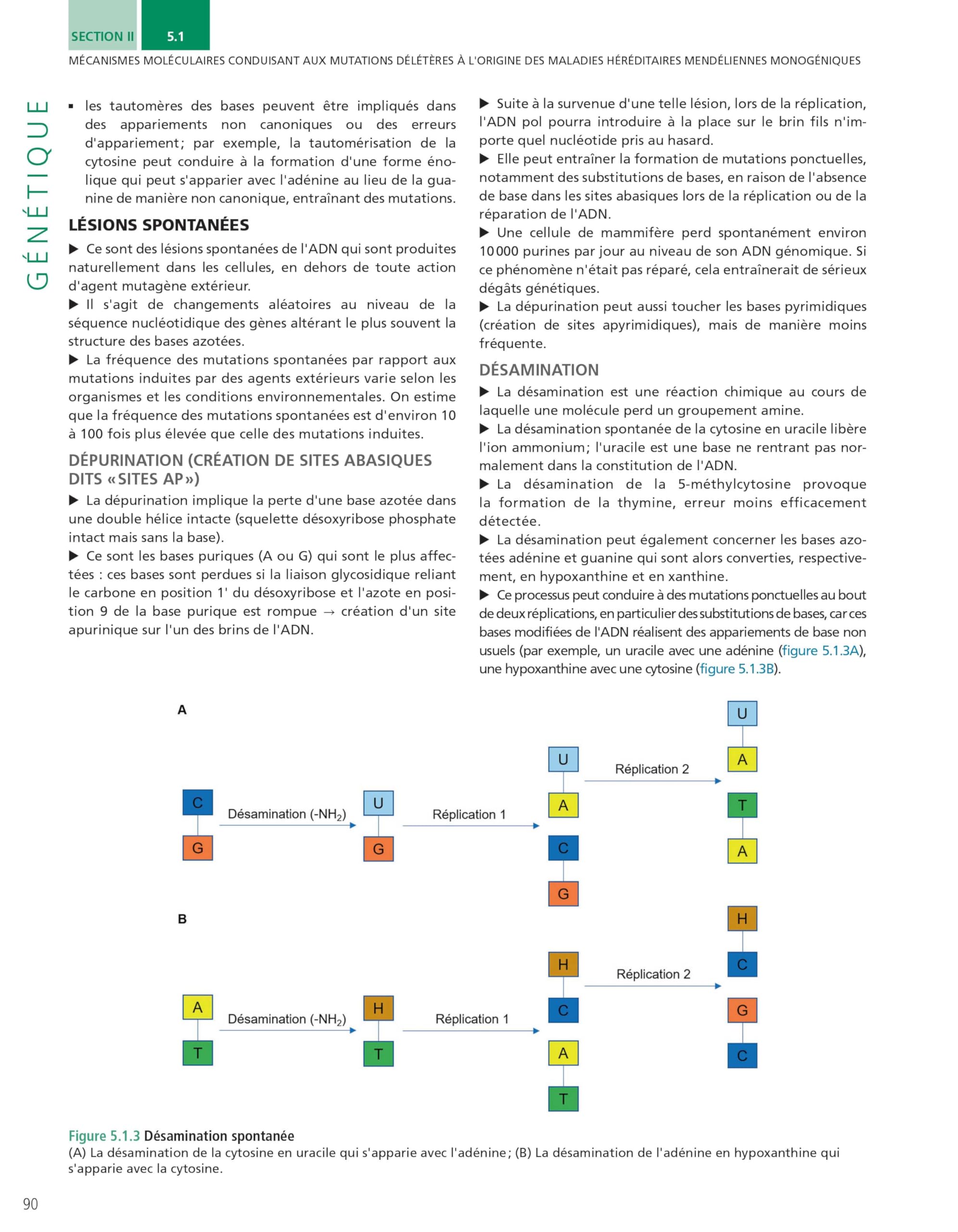 Biologie Moléculaire - Génétique - Biotechnologies: L'enseignement en fiches