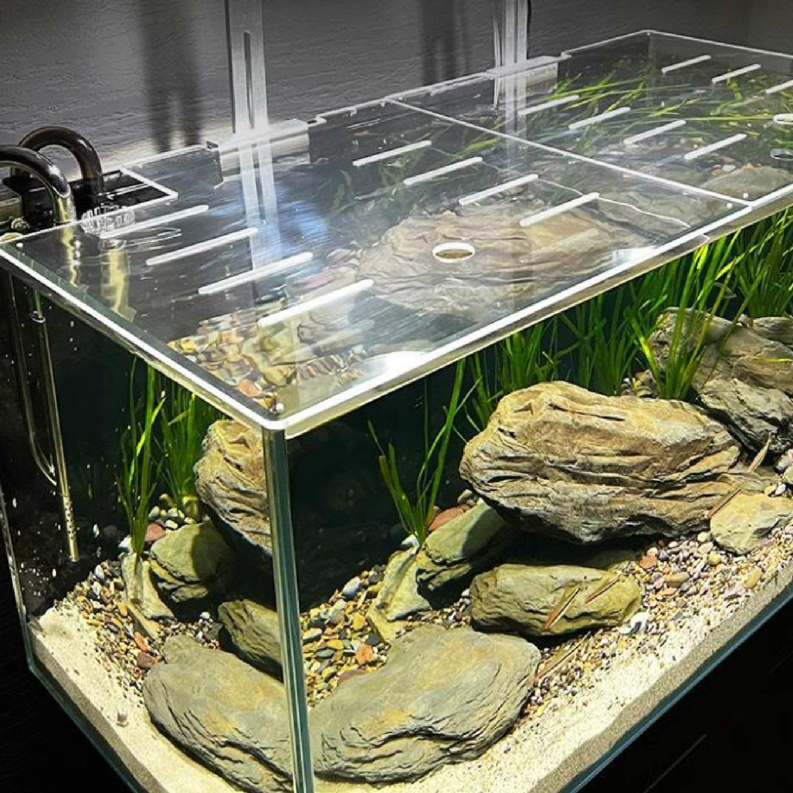 Couvercle d'aquarium en acrylique haute transparence avec trous, alimentation facile, design anti-poussière pour aquariums et aquariums domestiques