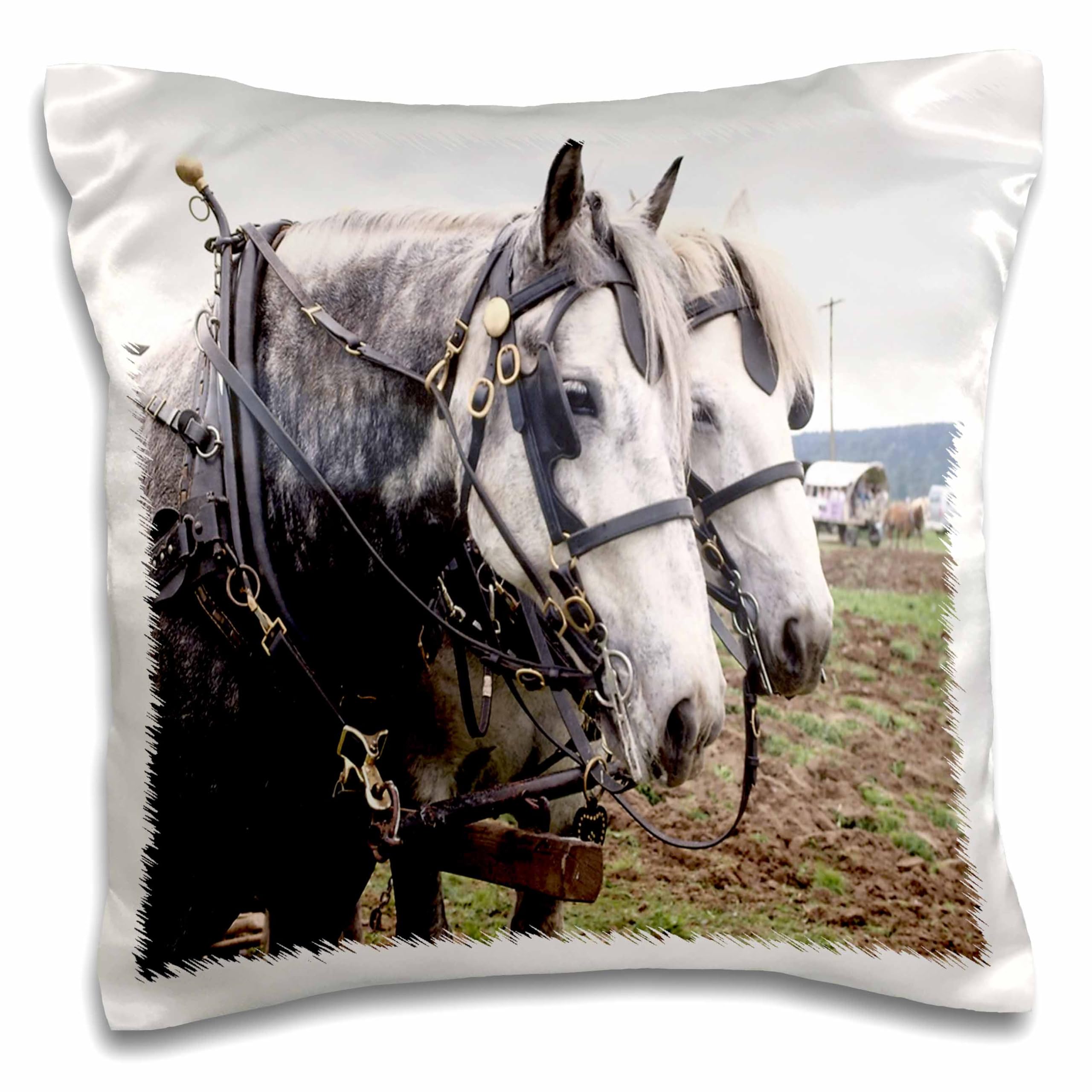 3dRose 16x16 inch Pillow Case - Percheron Tandem Equine Team TDSwhite – Horse Equine Photos