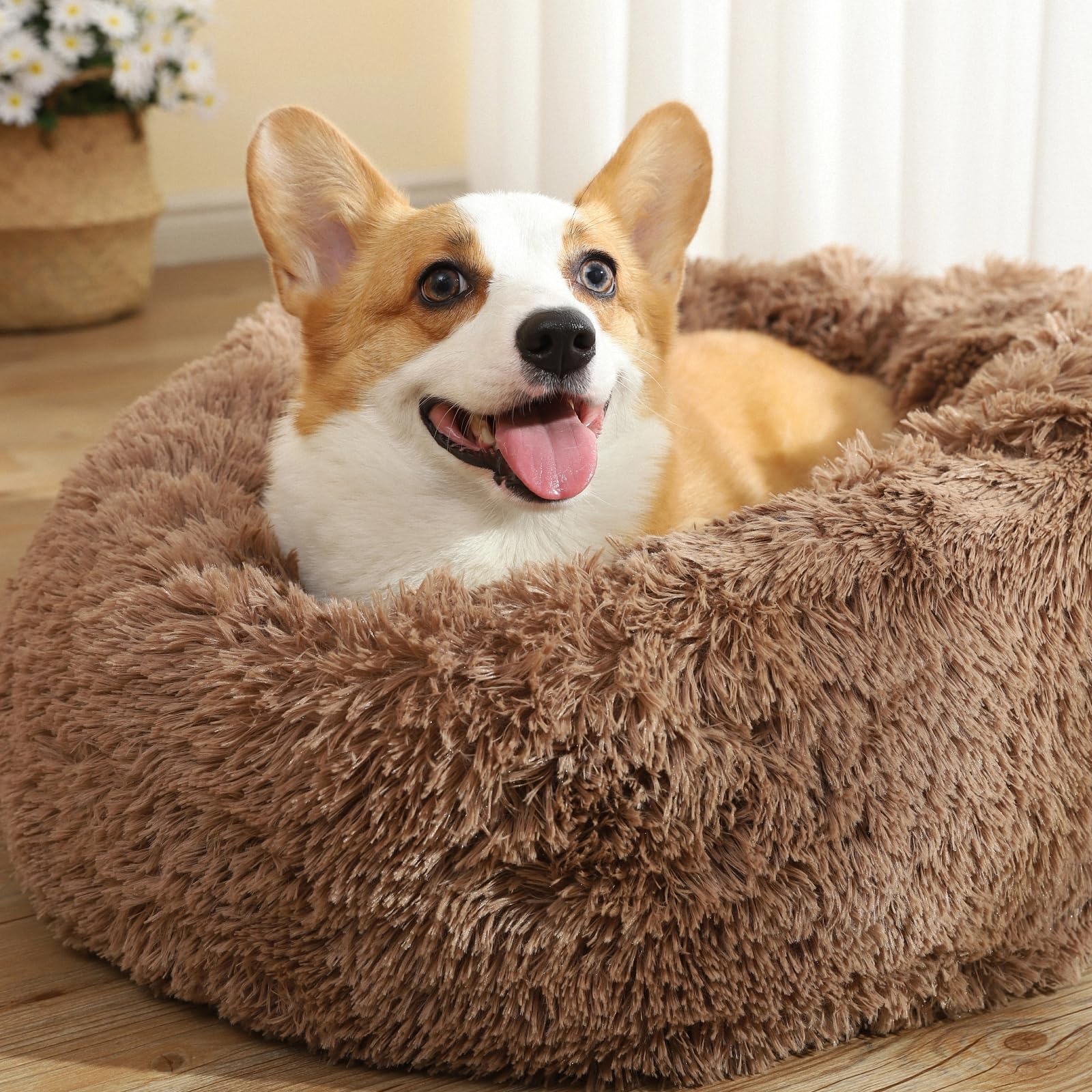 QOFLY Cama para Perro y Gato Antiestres - Cama Relax para Perros Pequeños y Medianos, Cama Redonda Relajante Lavable para Gatos Medianos y Grande (60cm, Marrón)