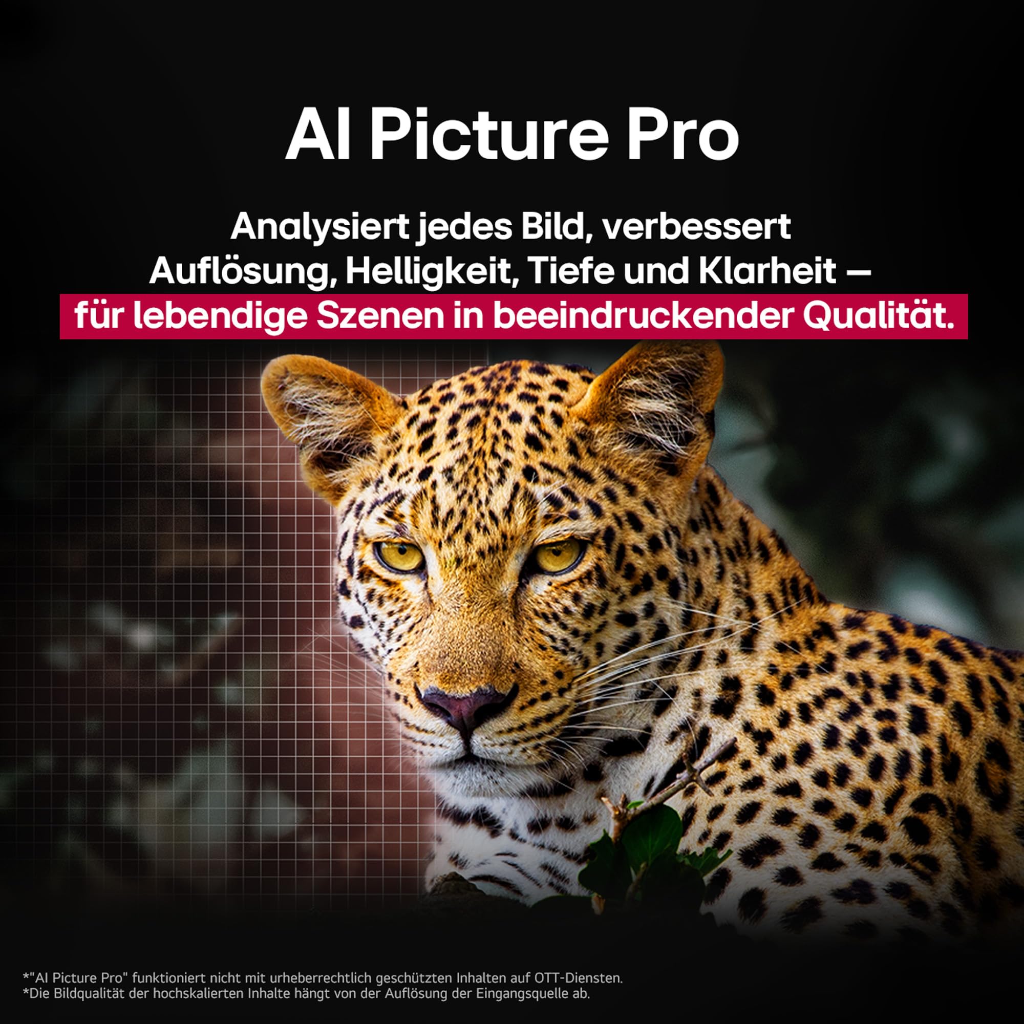 LG OLED65C5ELB, 65 Zoll (165 cm), 4K OLED evo AI TV, α9 Gen8 Prozessor, webOS 25, 120Hz (VRR bis zu 144Hz), Modelljahr 2025