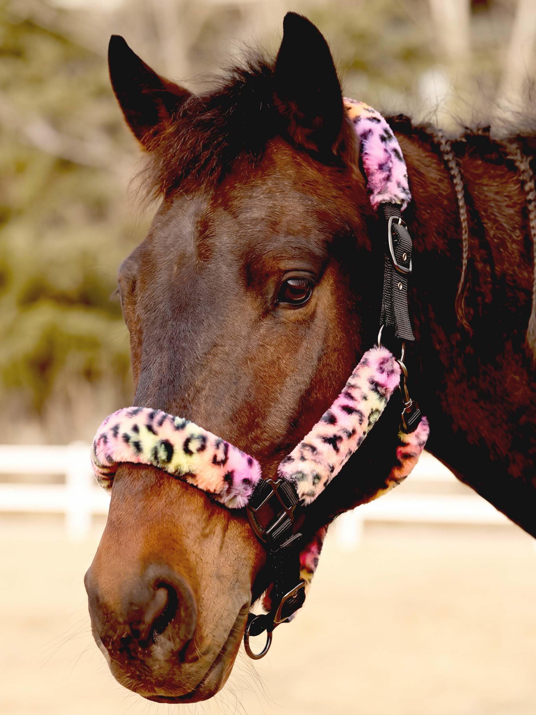 Fleece Halter Covers