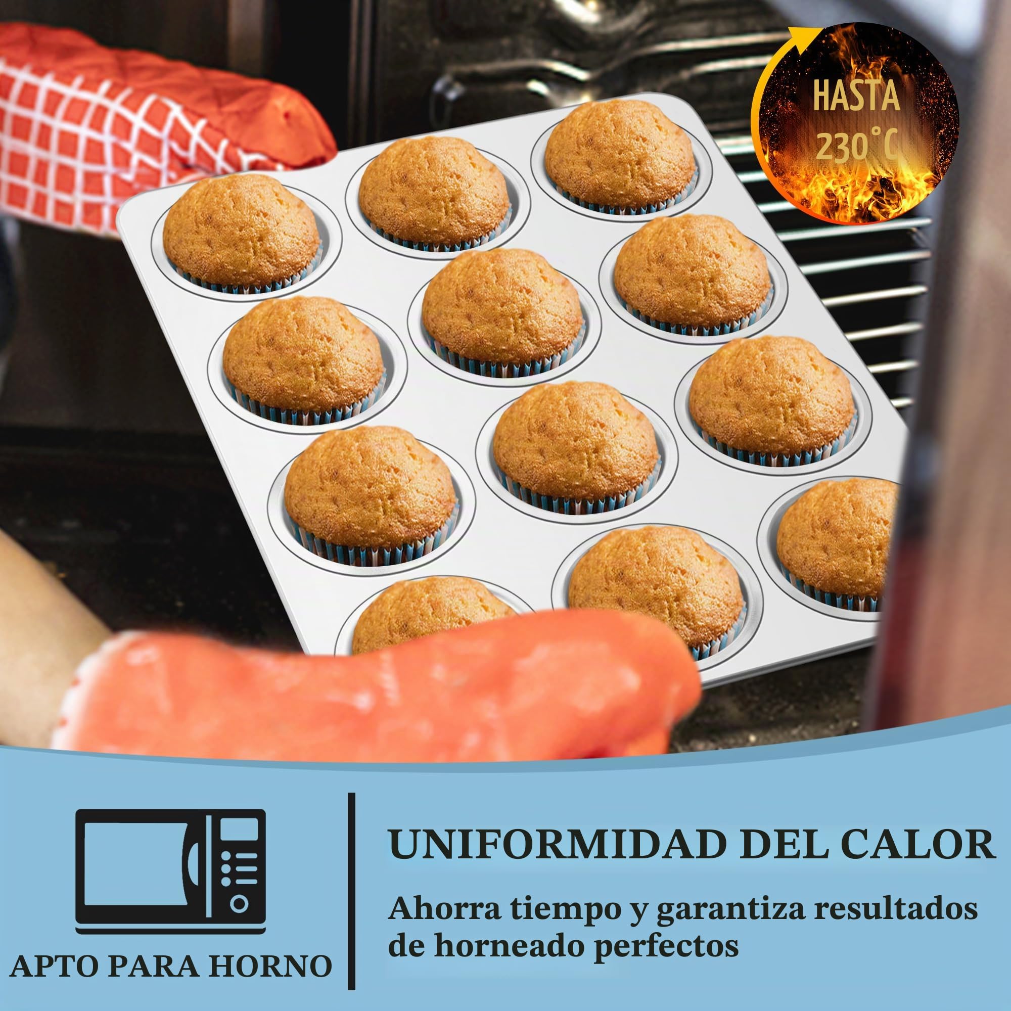 HaWare HW5814 - Molde para magdalenas (acero inoxidable, 12 magdalenas)