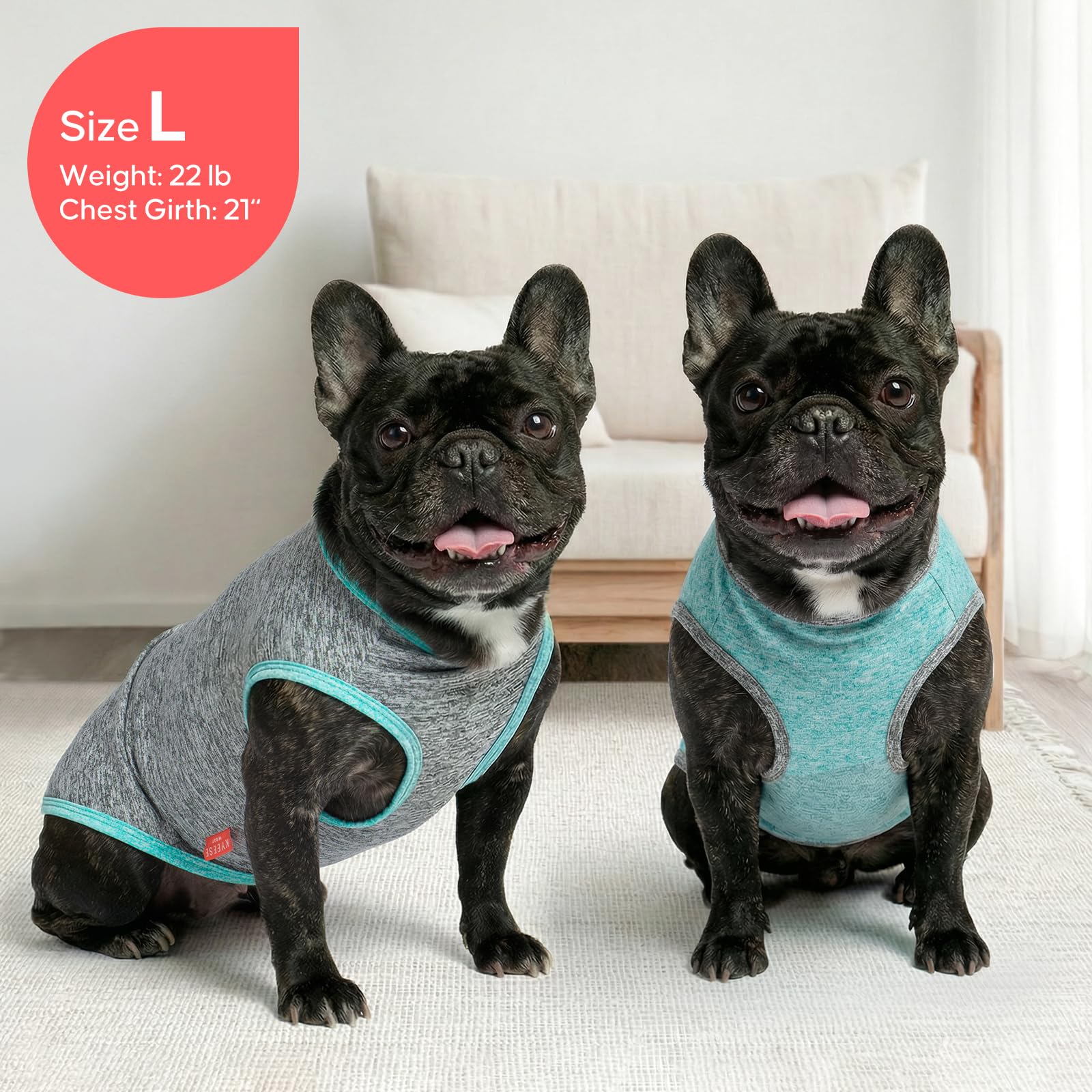 KYEESE Paquete de 2 camisas para perro, protección solar, secado rápido, suaves, elásticas, con etiqueta reflectante, chaleco sin mangas, ropa para perros pequeños y medianos, S, gris y azul