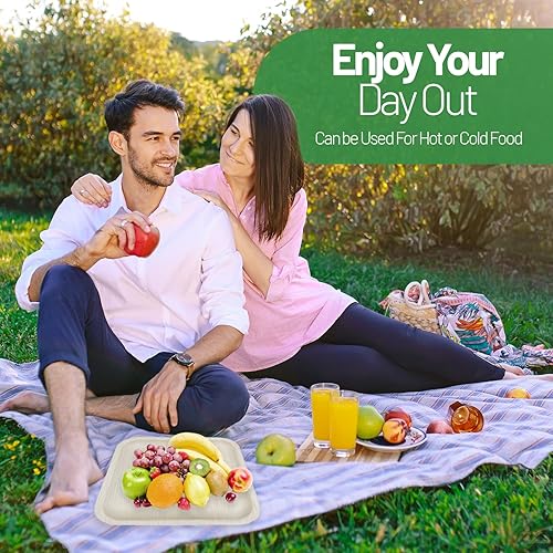 Miniatura 6 de Greenmile Platos de hoja de palma de 10 pulgadas, juego de platos de palma areca cuadrados, biodegradables y compostables, vajilla desechable para