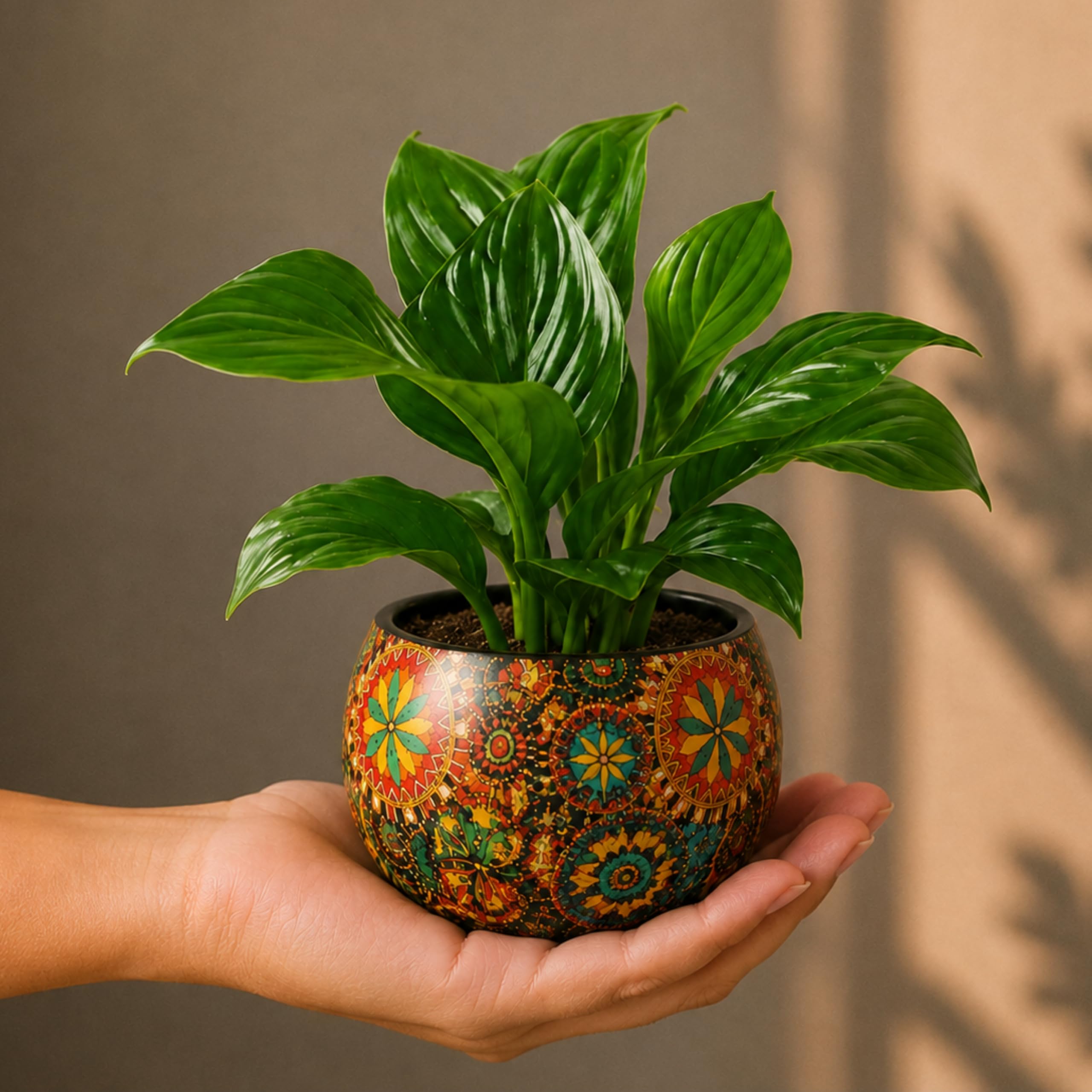 FNP Live Peace Lily Plant in Rajwada Designer Metal Pot, Multicolour, Small, Air Purification, Floral Paisley Style-picture-31