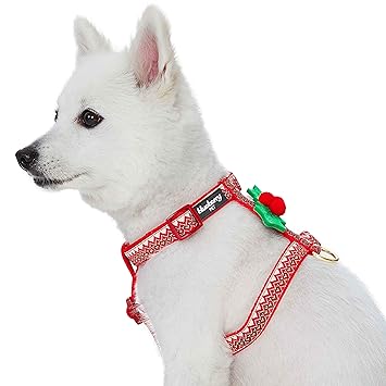 Blueberry Pet 2020/2021 New Christmas Zigzag Chevron No Pull Dog Harness with Holly D?cor, Small, Adjustable Harnesses for Dogs