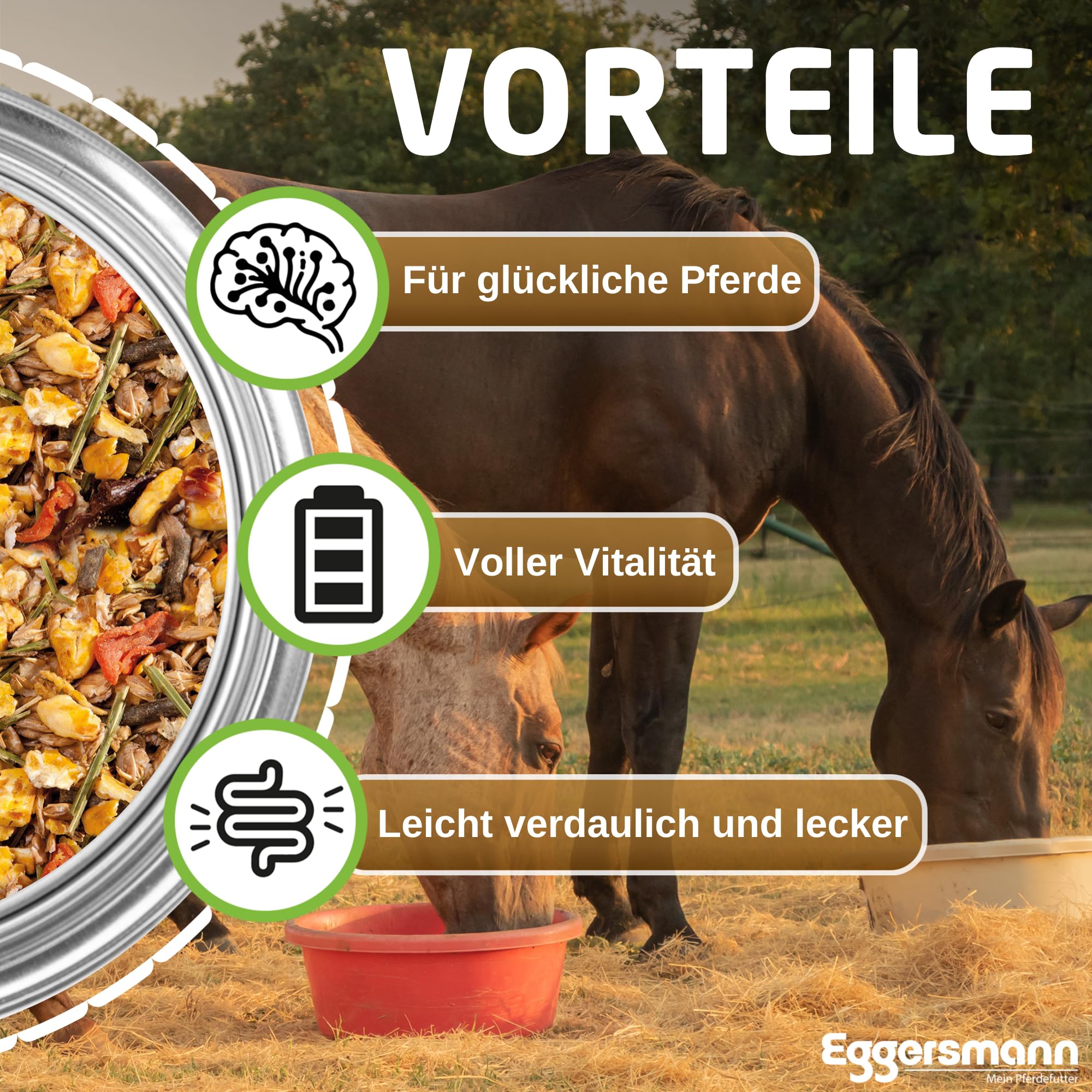 Eggersmann Natur Muesli 20 kg – Mangime per Cavalli Naturale Senza additivi Artificiali per Cavalli sensibili alle allergie – Mangime Naturale Cavalli