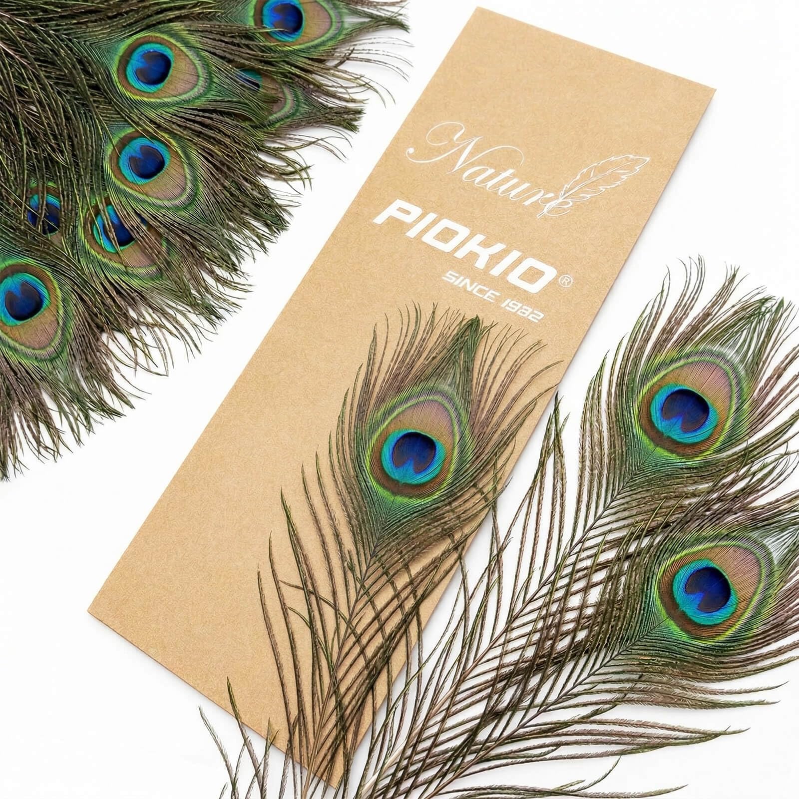 Amazon.co.jp: Piokio ピーコックフェザー 50個 バルク 10-12インチ