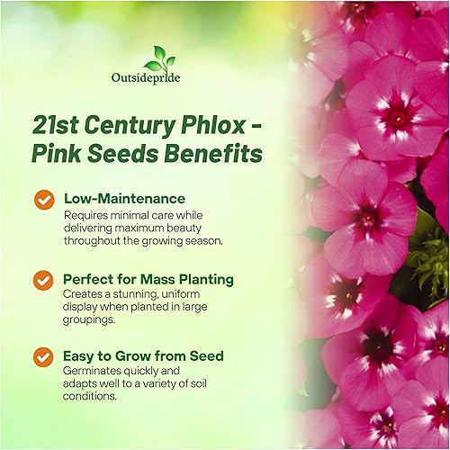 Miniatura 3 de Outsidepride Anual Phlox 21st Century Patriot Mix - Cubierta de suelo, flores de jardín, plantas de cama y contenedores - 50 semillas