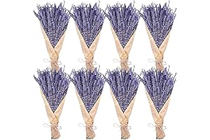 Timoo Dried Lavender Bundles