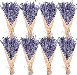 8 Bundles Dried Lavender Bundles, Uieke Natural Dried Lavender Flowers 1...