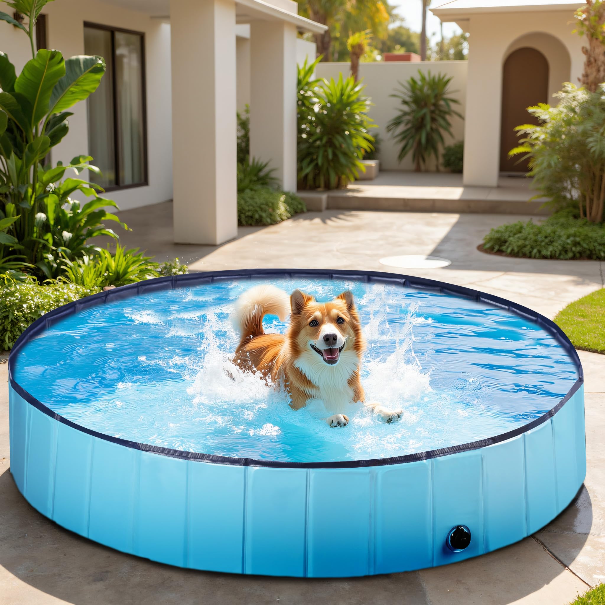 Fudajo Piscina per cani 160 x 30 cm, antiscivolo, piscina pieghevole per cani in PVC, portatile, con bordi rinforzati