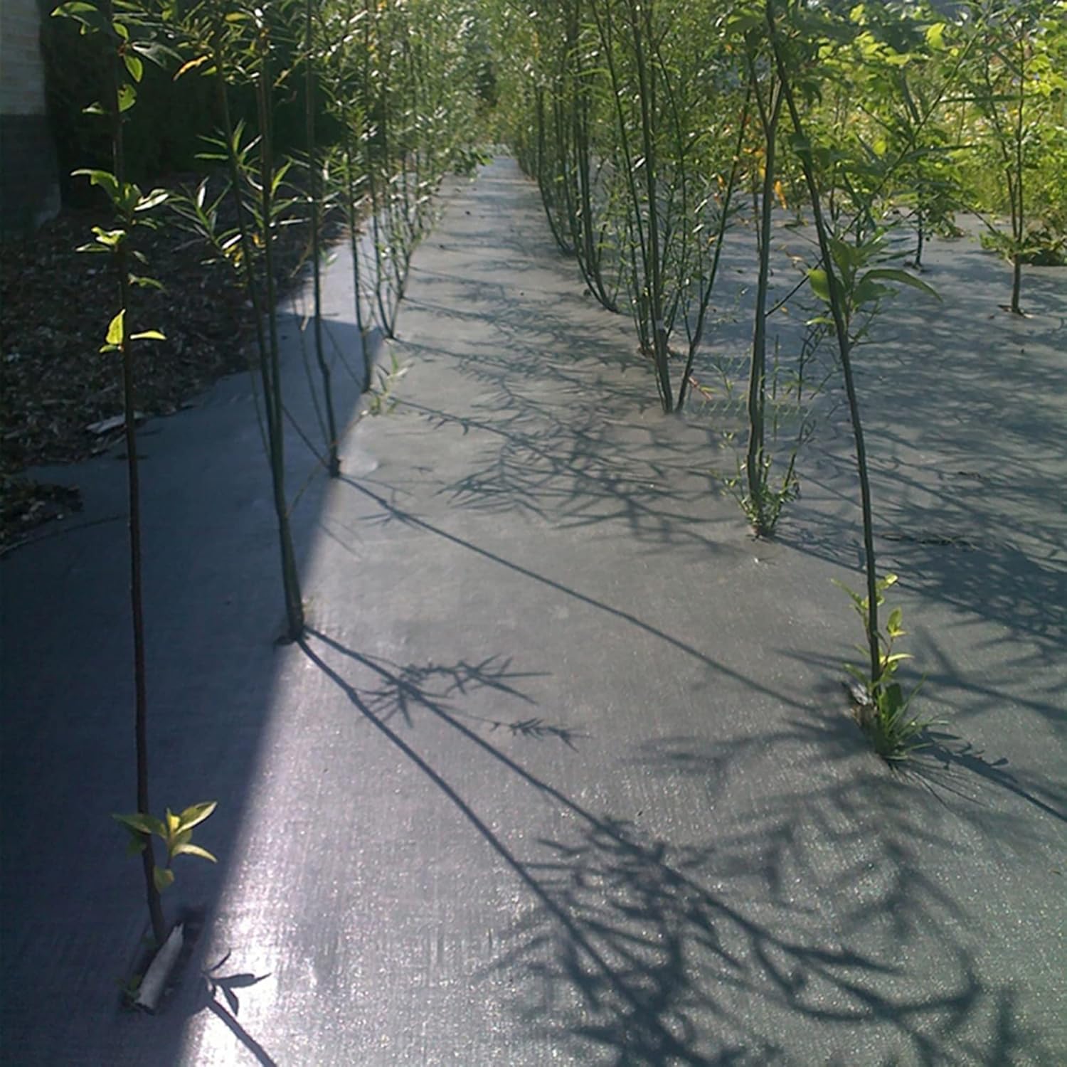 Weed Barrier Landscape Fabric - High Permeability Weed Control Blocker Cloth Ground Cover Gardening Mat for Flower Bed, Mulch, Greenhouses/Black / 0.5X200m