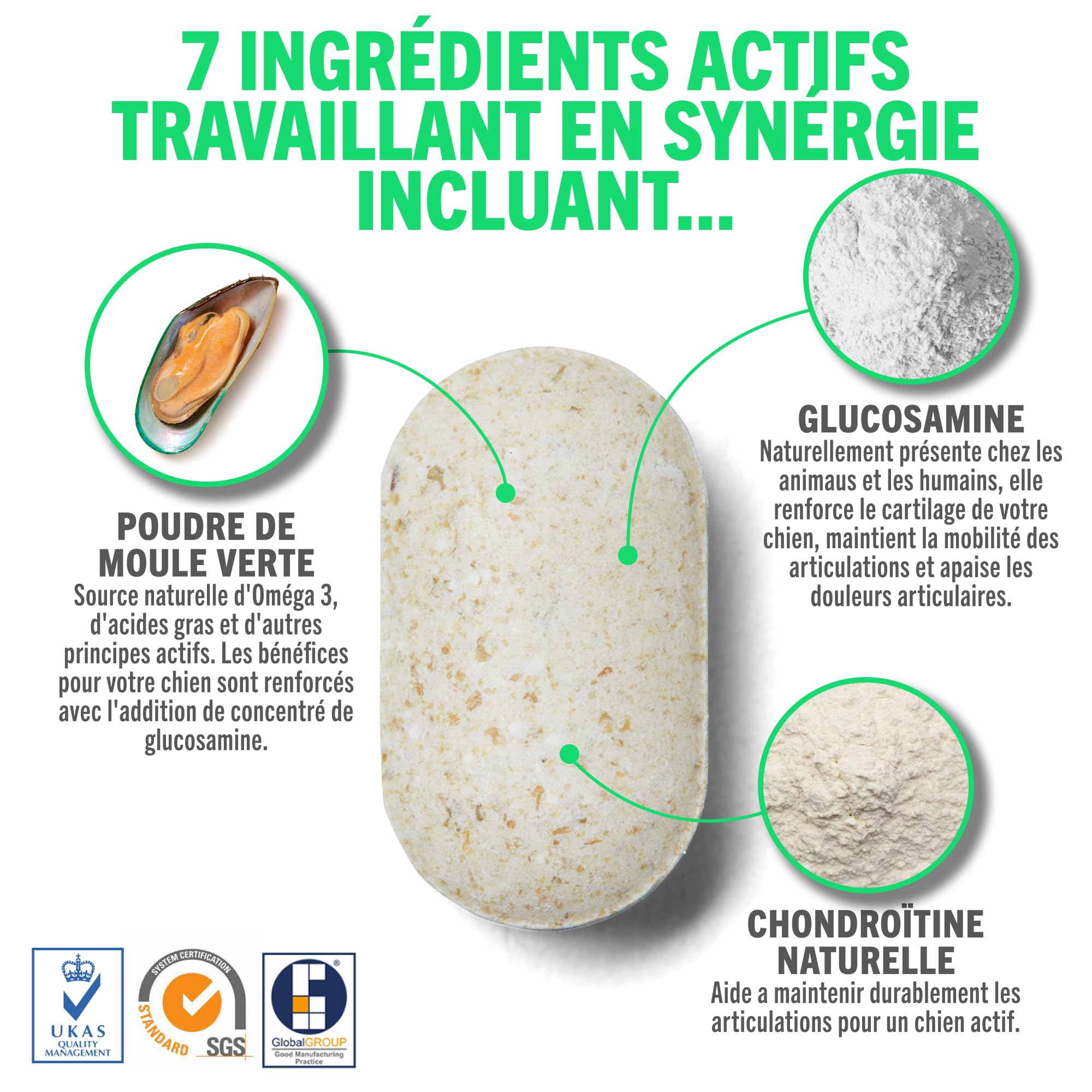 JOINTSURE Jeune & Actif Suppléments pour Les Articulations des Chiens et Chiots Aide à la Rigidité des Articulations 300 Comprimés - Hautes Teneurs en Glucosamine & Moule à Lèvres Vertes