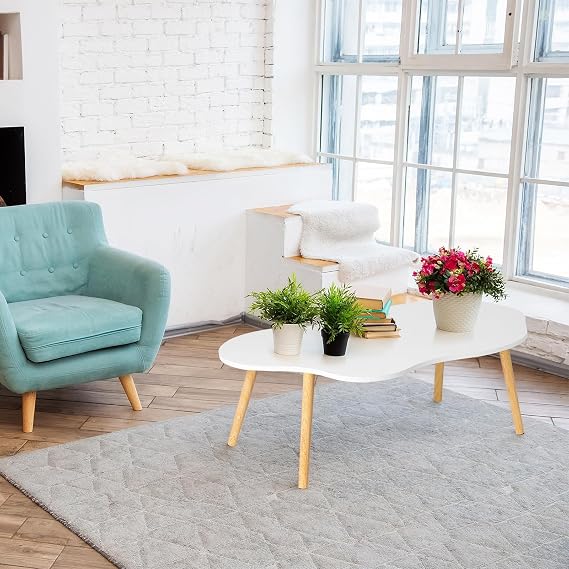 Small Modern Cloud Shape Coffee Table, White, 40