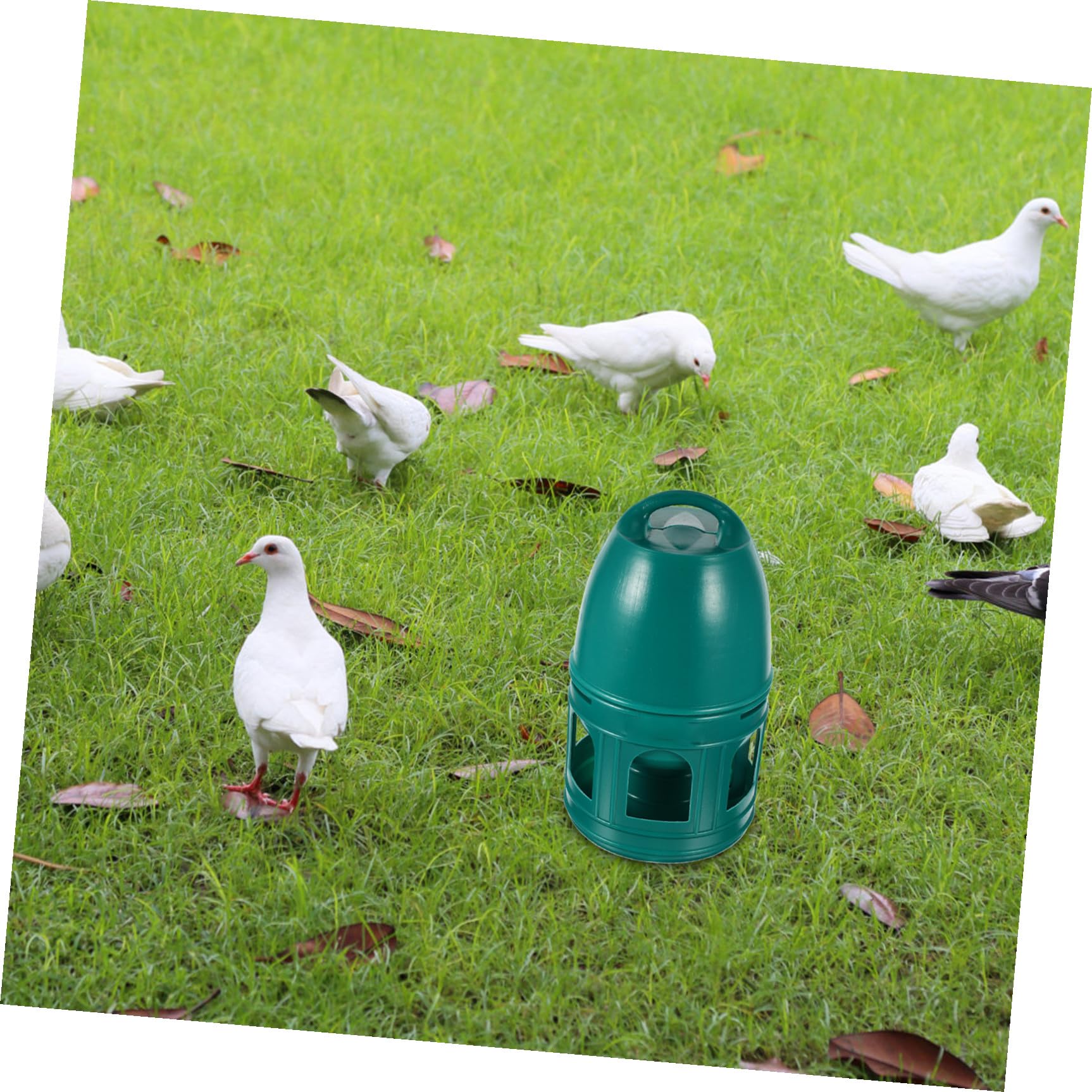 Bebedero para Pájaros Domésticos de Plástico Verde de 3l Diseño Redondo Portátil y Removible Adecuado para Tiendas de Mascotas y Zoológicos