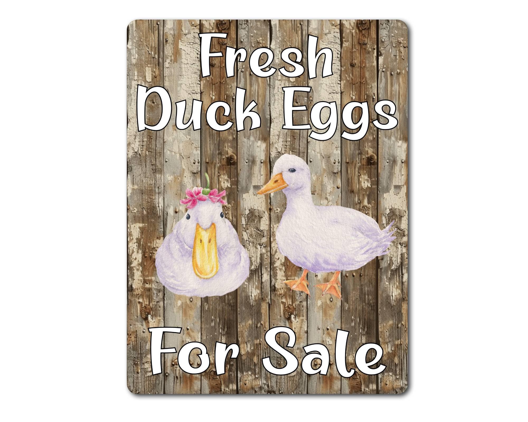 Decalarama Egg Metal Sign Gift – Fresh Duck Eggs For Sale - Family Fun Home Food Novelty Animal Aluminium Present
