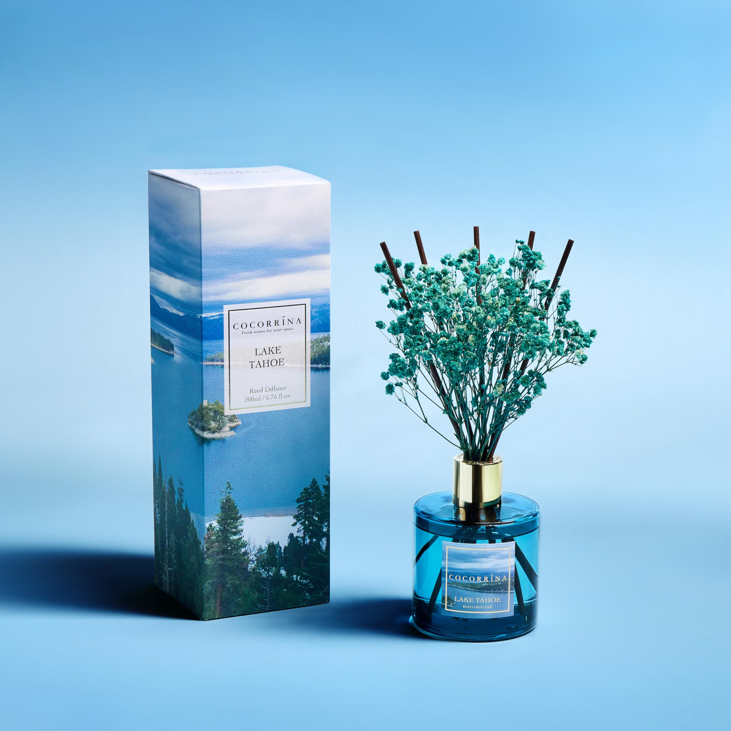 COCORRÍNA Reed Diffuser - Lake Tahoe 6.7 Fl.oz Reed Diffuser Set with 8 Sticks & Preserved Baby's Breath, Reed Diffuser for Home Bathroom Shelf Decor (Vista Tales Collection)