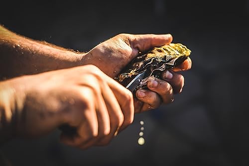 Miniatura 3 de Dexter-Russell - Cuchillo para ostras de 2.75 pulgadas, patrón New Haven, metálico