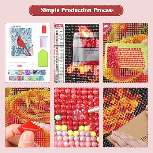 Miniatura 5 de Lxmsja Kits de pintura de diamantes 5D con diseño de pájaro cardenal de nieve para adultos, kit de puntos de arte de diamantes, taladro redondo