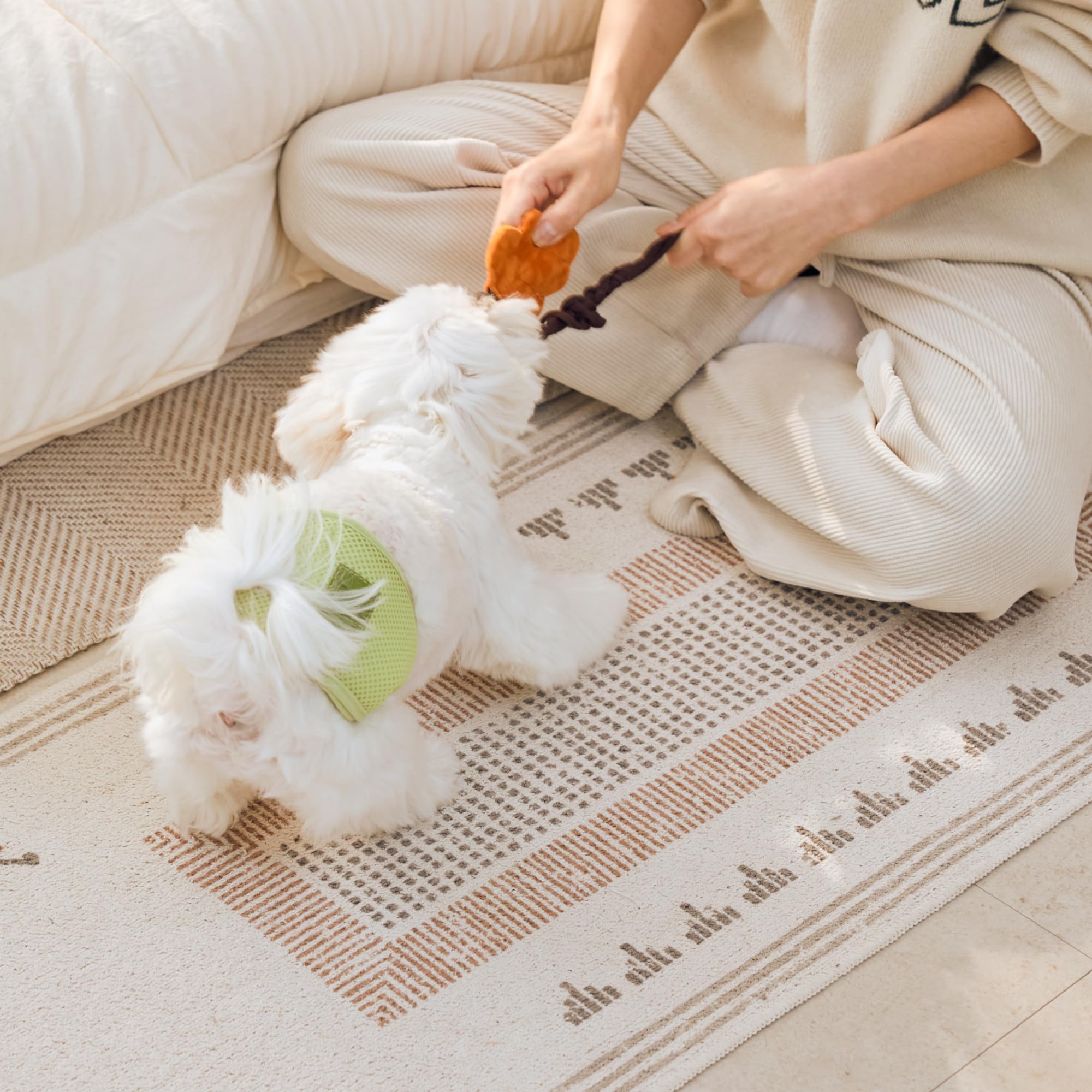 WICKEDPUP Almohadillas elevadoras de pañales para perros machos y hembras, 100 unidades. Insertos de pañales desechables que se adaptan a la mayoría de bandas reutilizables para el vientre de mascotas