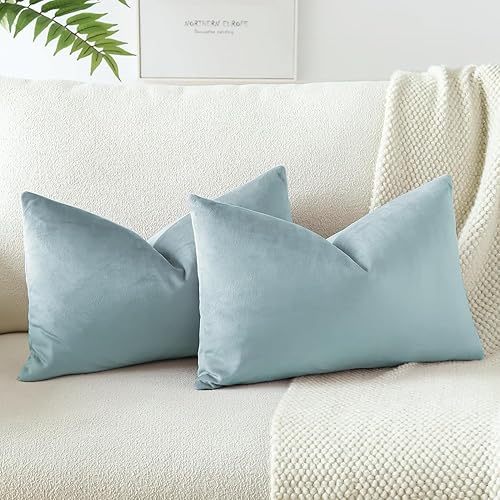 OTOSTAR Juego de 2 fundas de almohada decorativas de terciopelo suave y sólido de 12 x 20 pulgadas, fundas de almohada lumbares, fundas de almohada