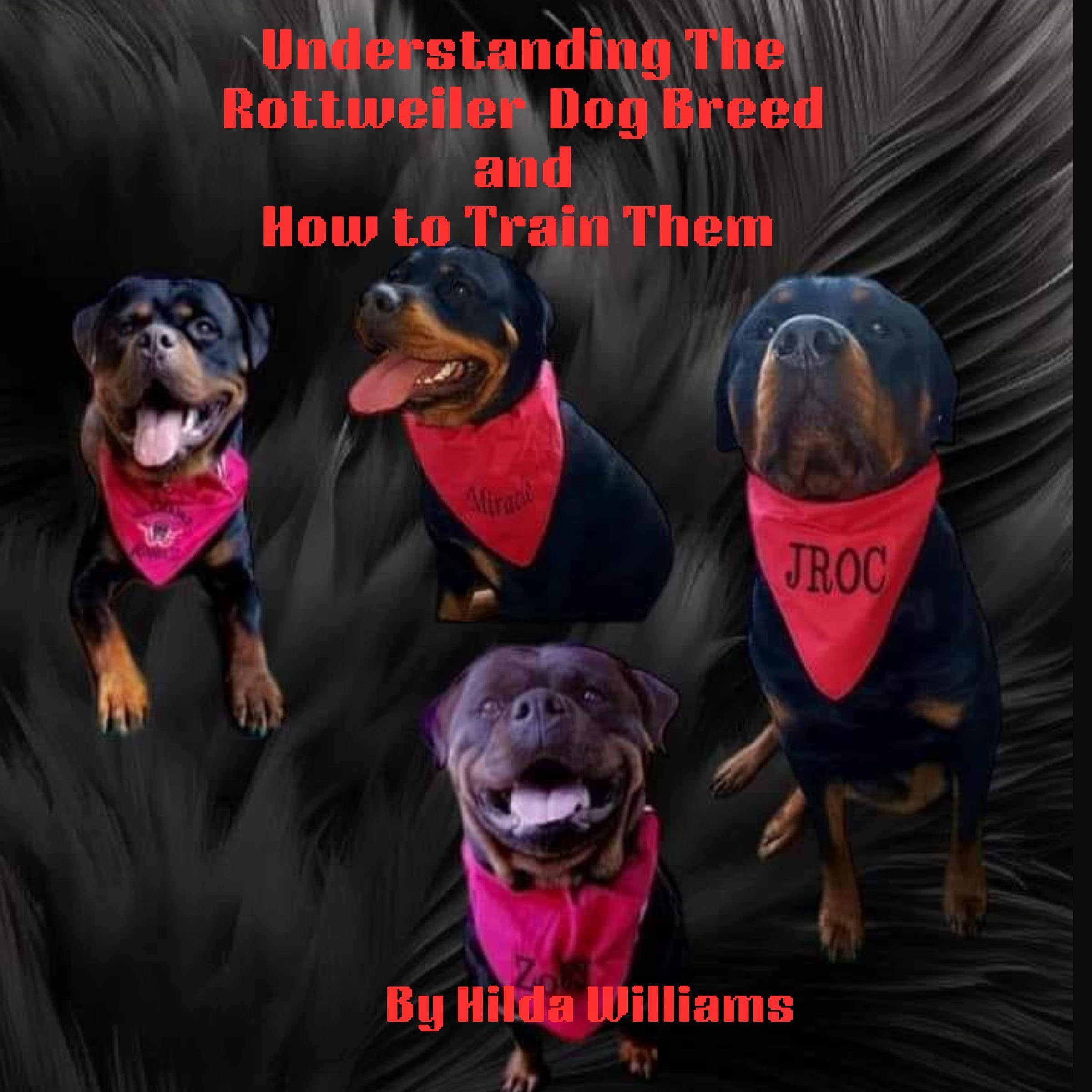 Understanding the Rottweiler Dog Breed and How to Train Them